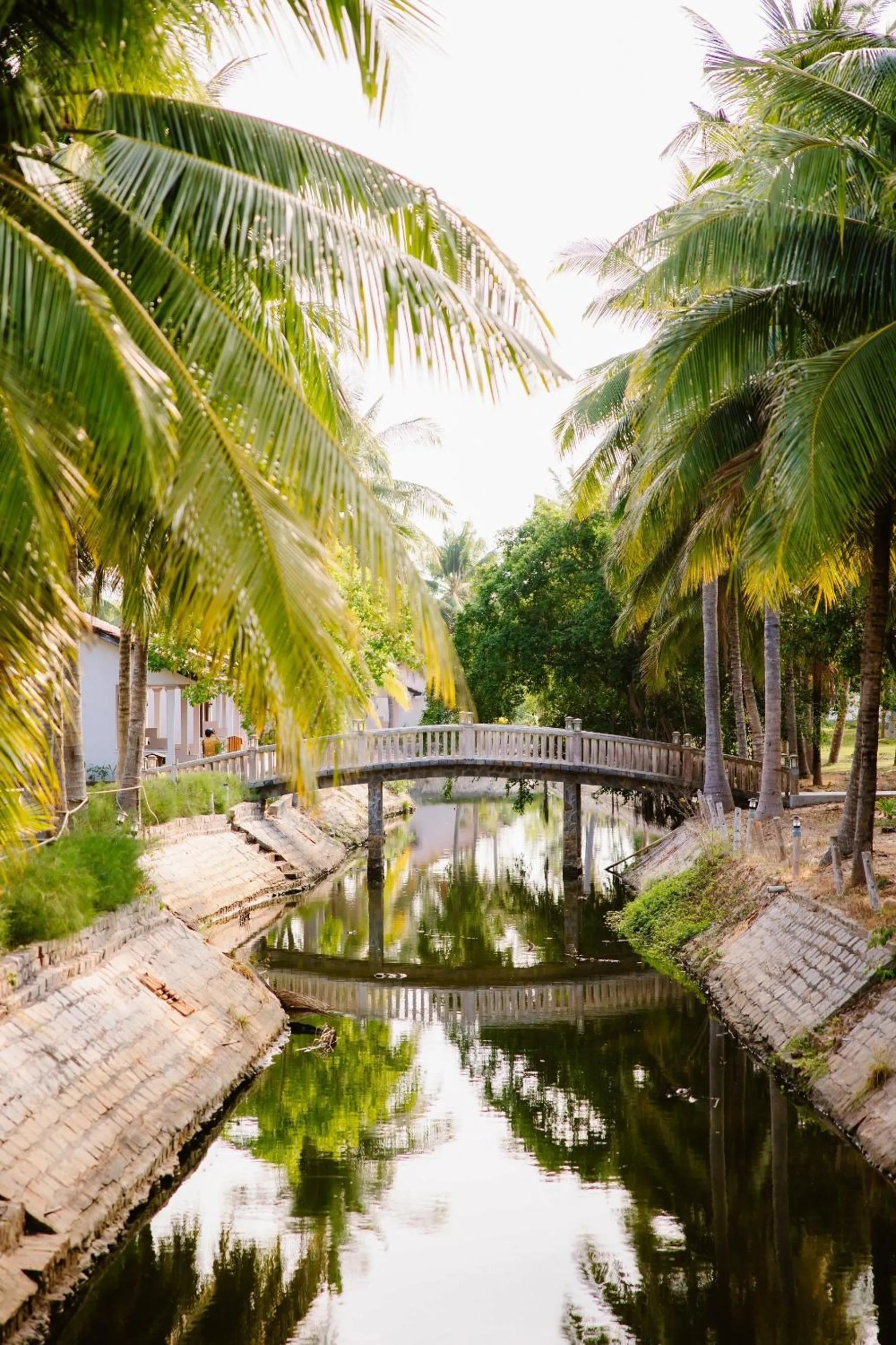 Day in Dat Lanh Beach Resort