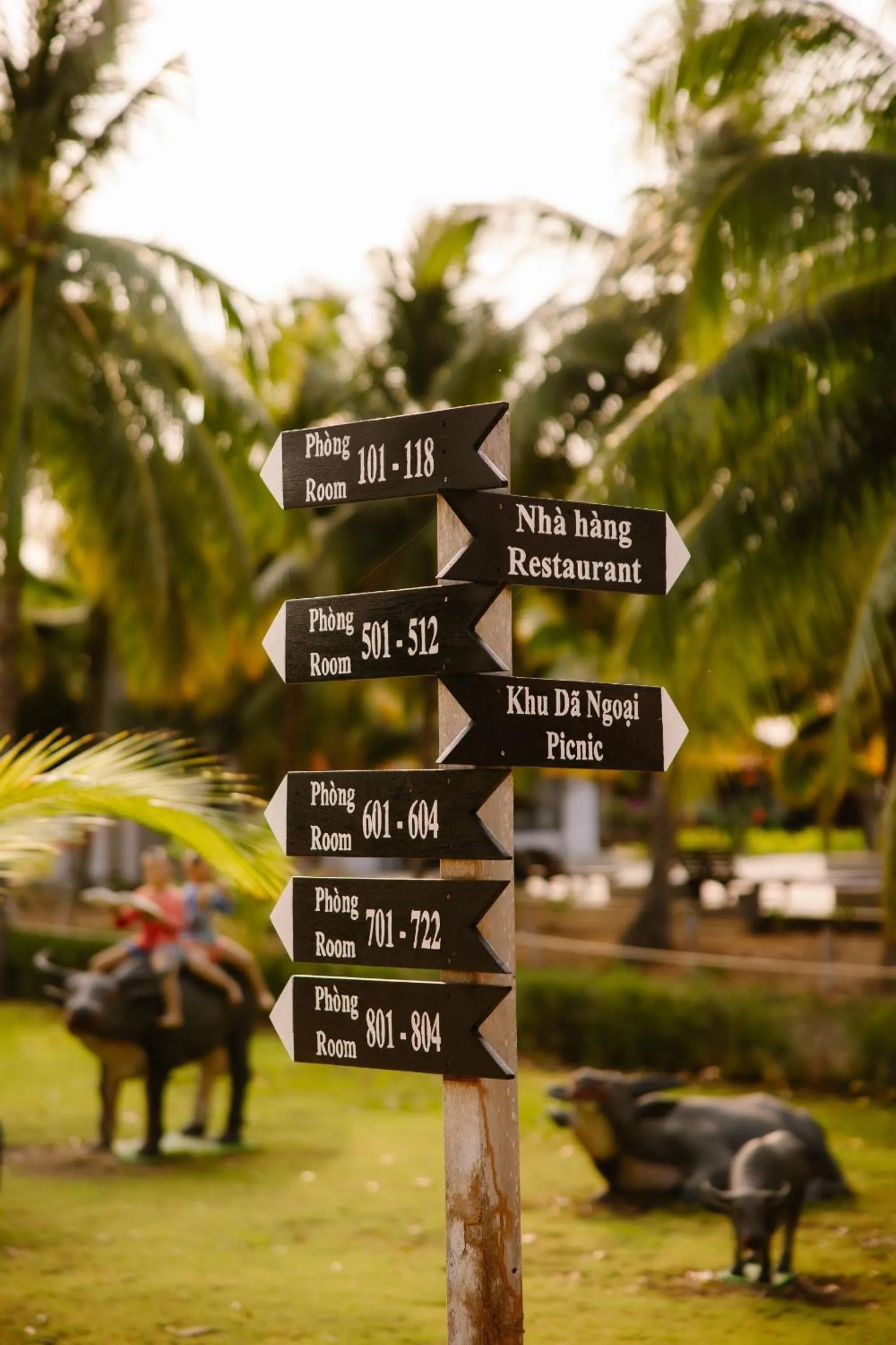 Text overlay in Dat Lanh Beach Resort