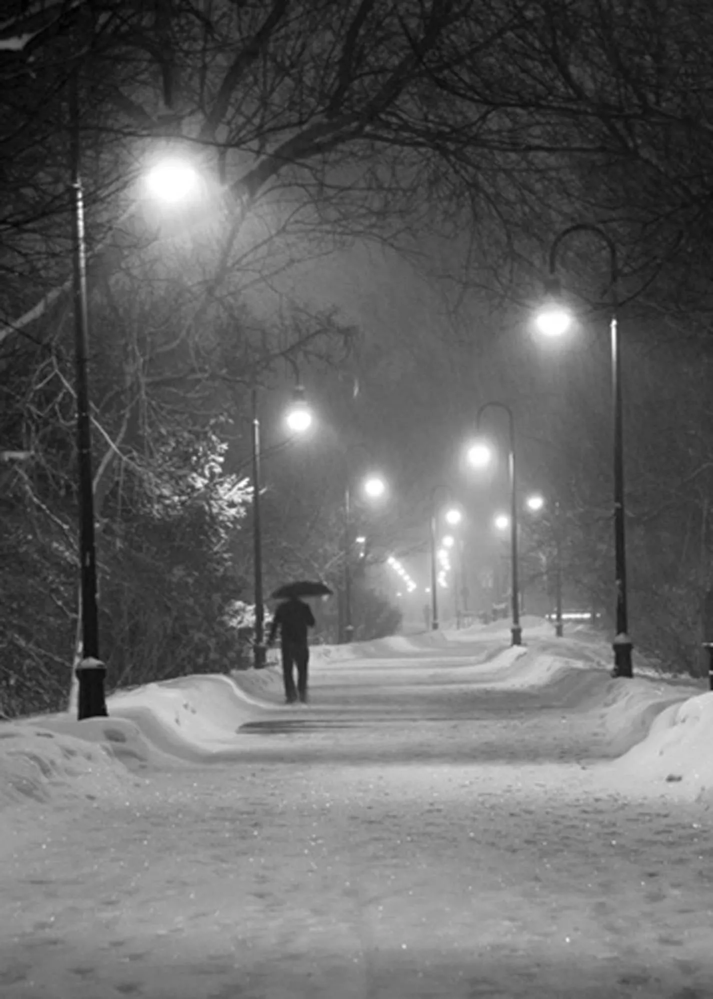 Hiking in Davis Square Inn