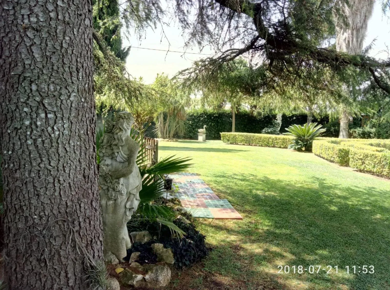 Garden in casadolcecasalatina