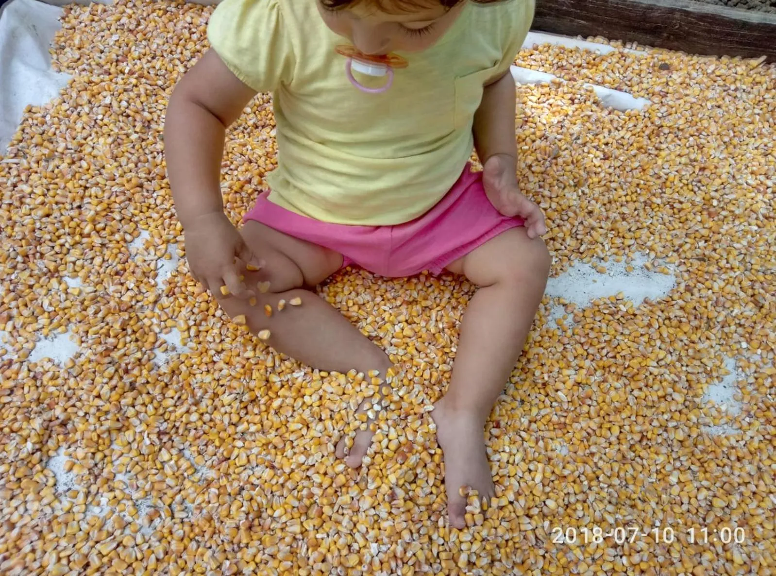 Entertainment in casadolcecasalatina