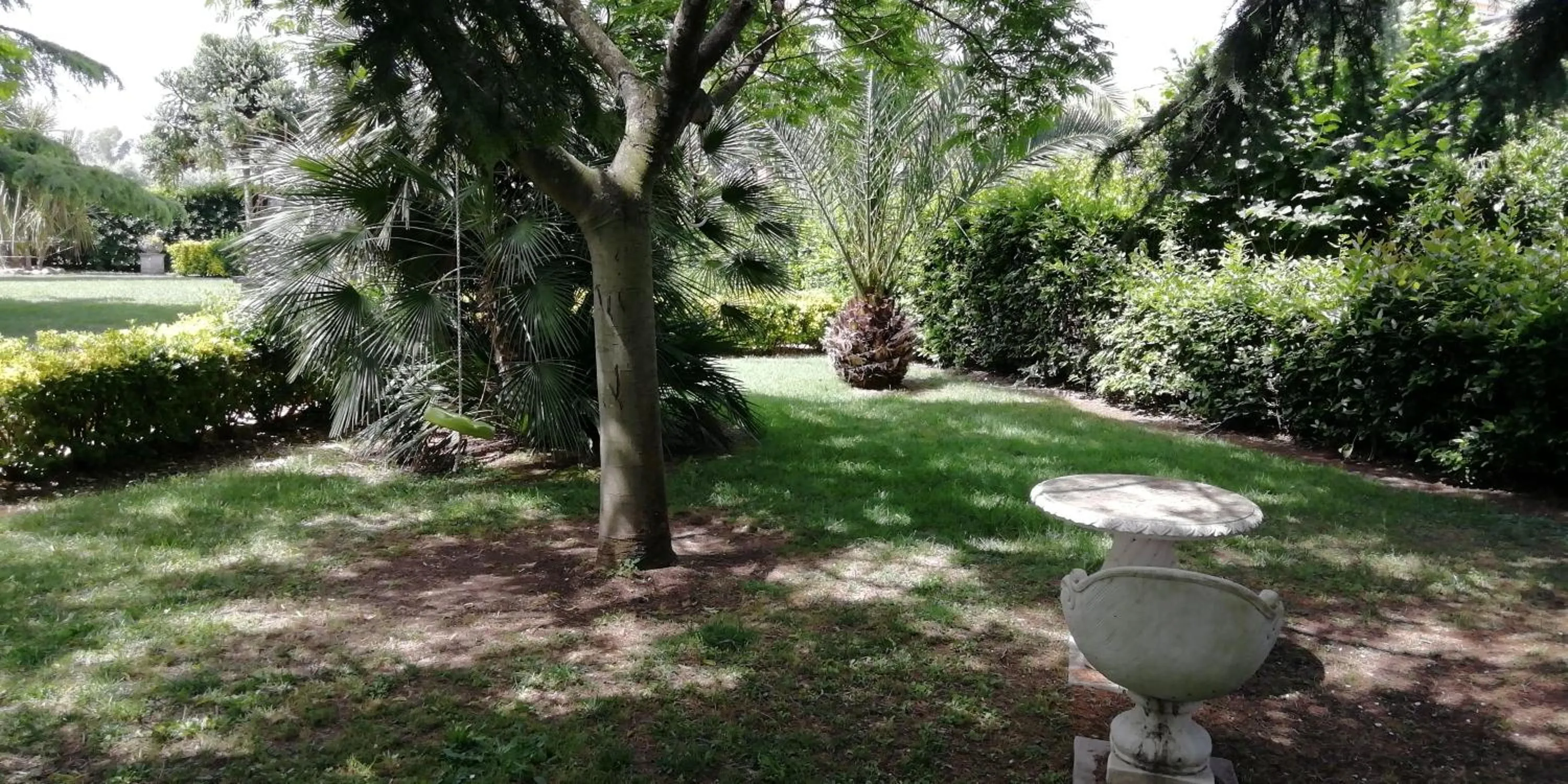 Garden in casadolcecasalatina