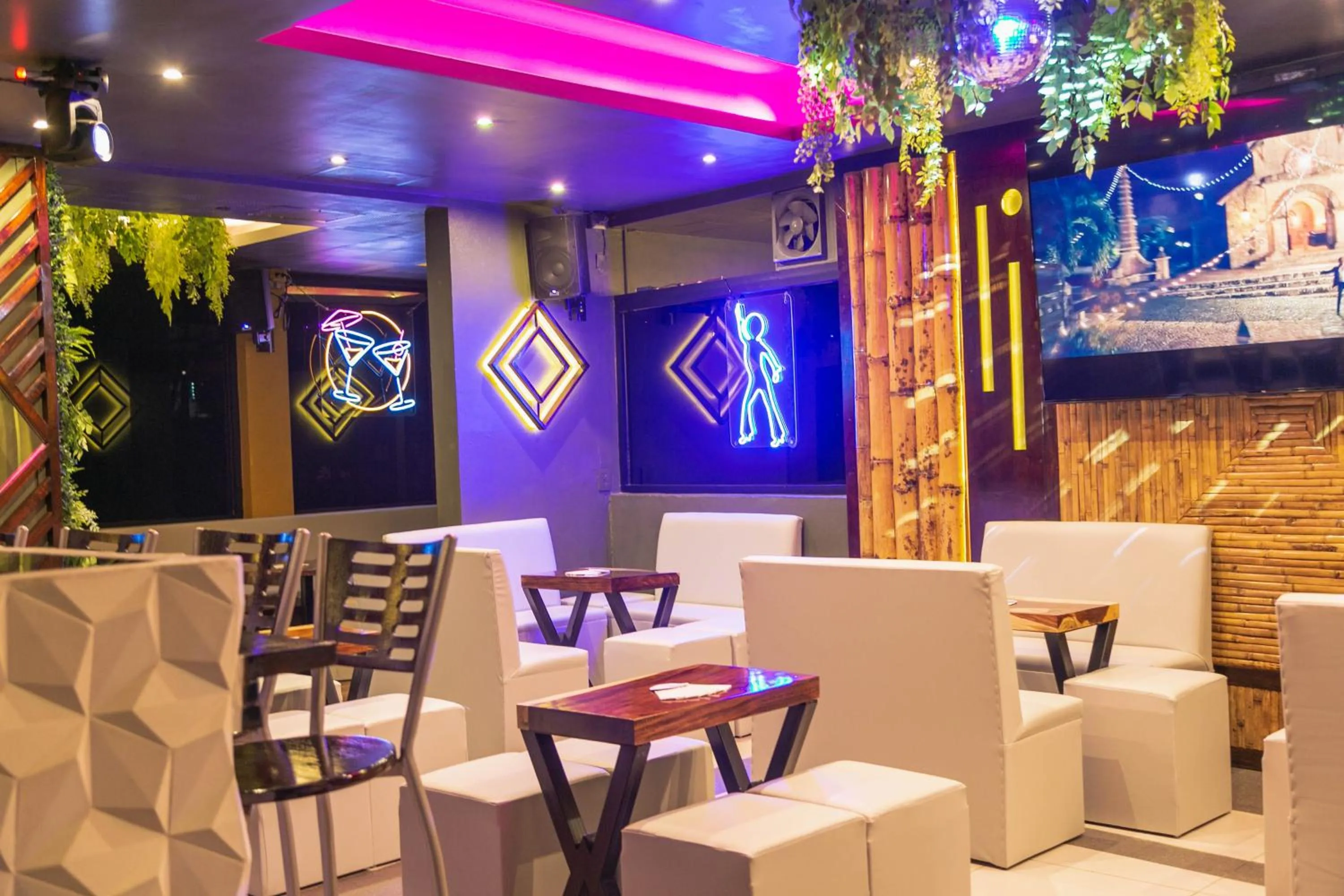 Karaoke in Maya Tulipanes Express