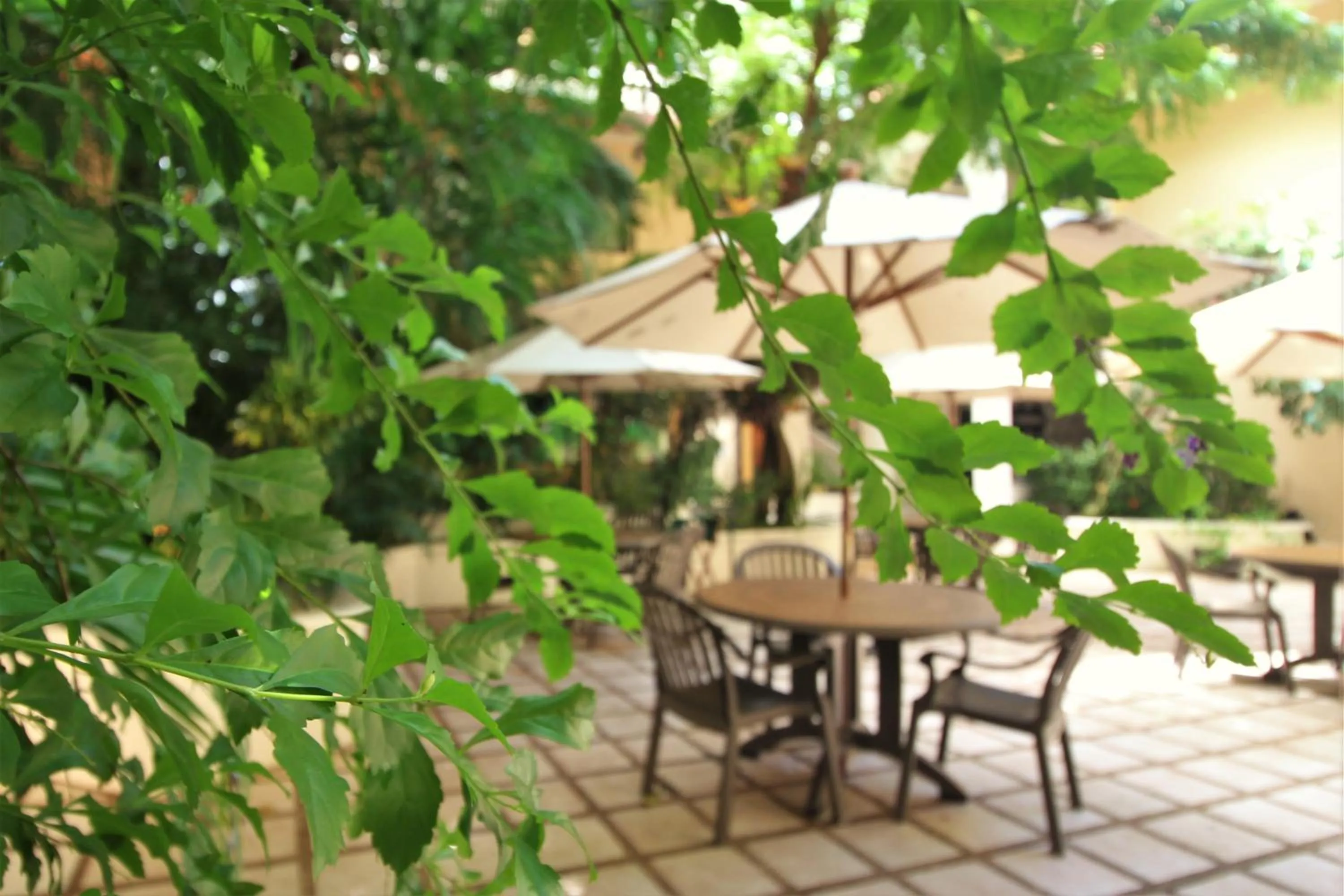 Patio in Maya Tulipanes Express