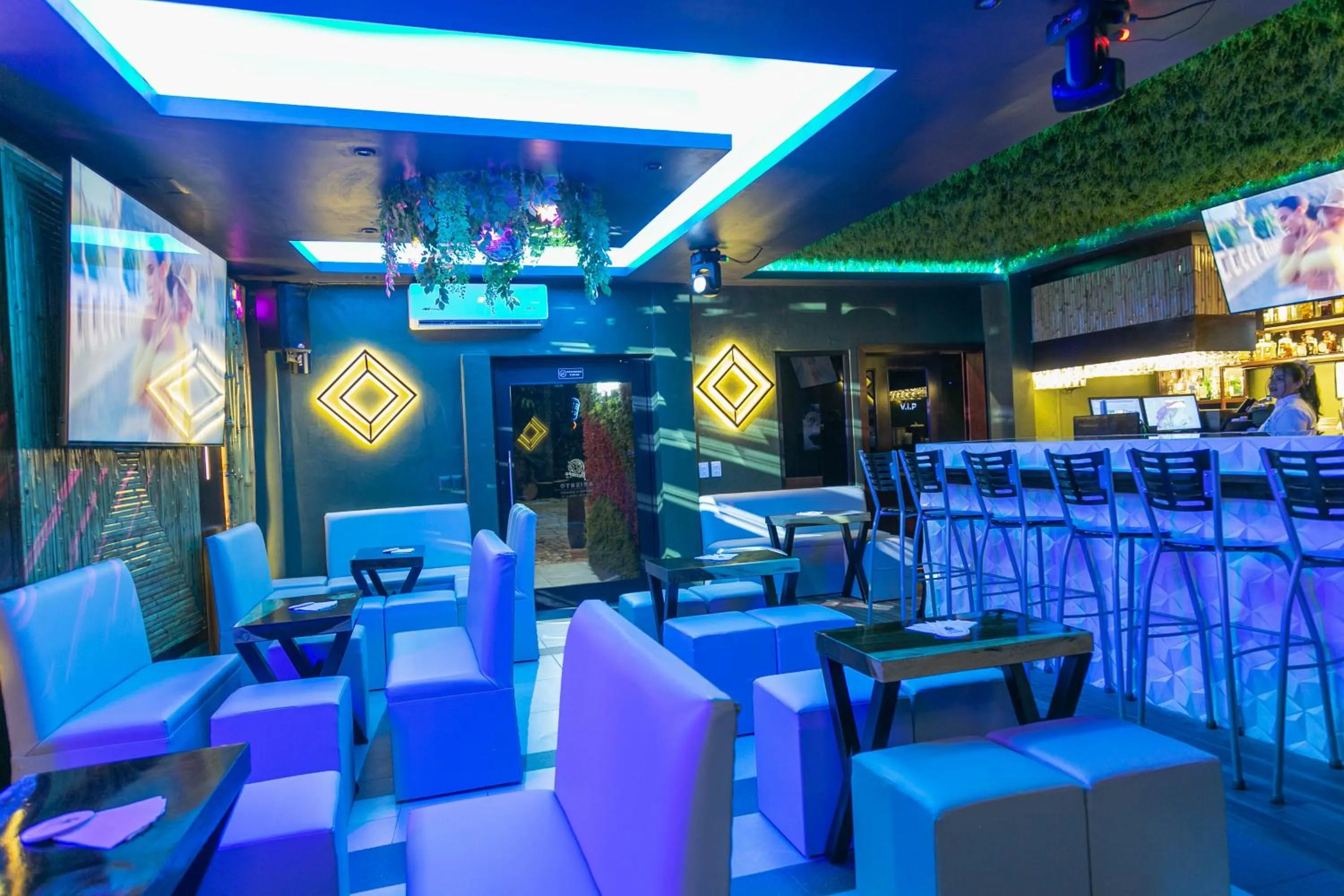 Karaoke in Maya Tulipanes Express