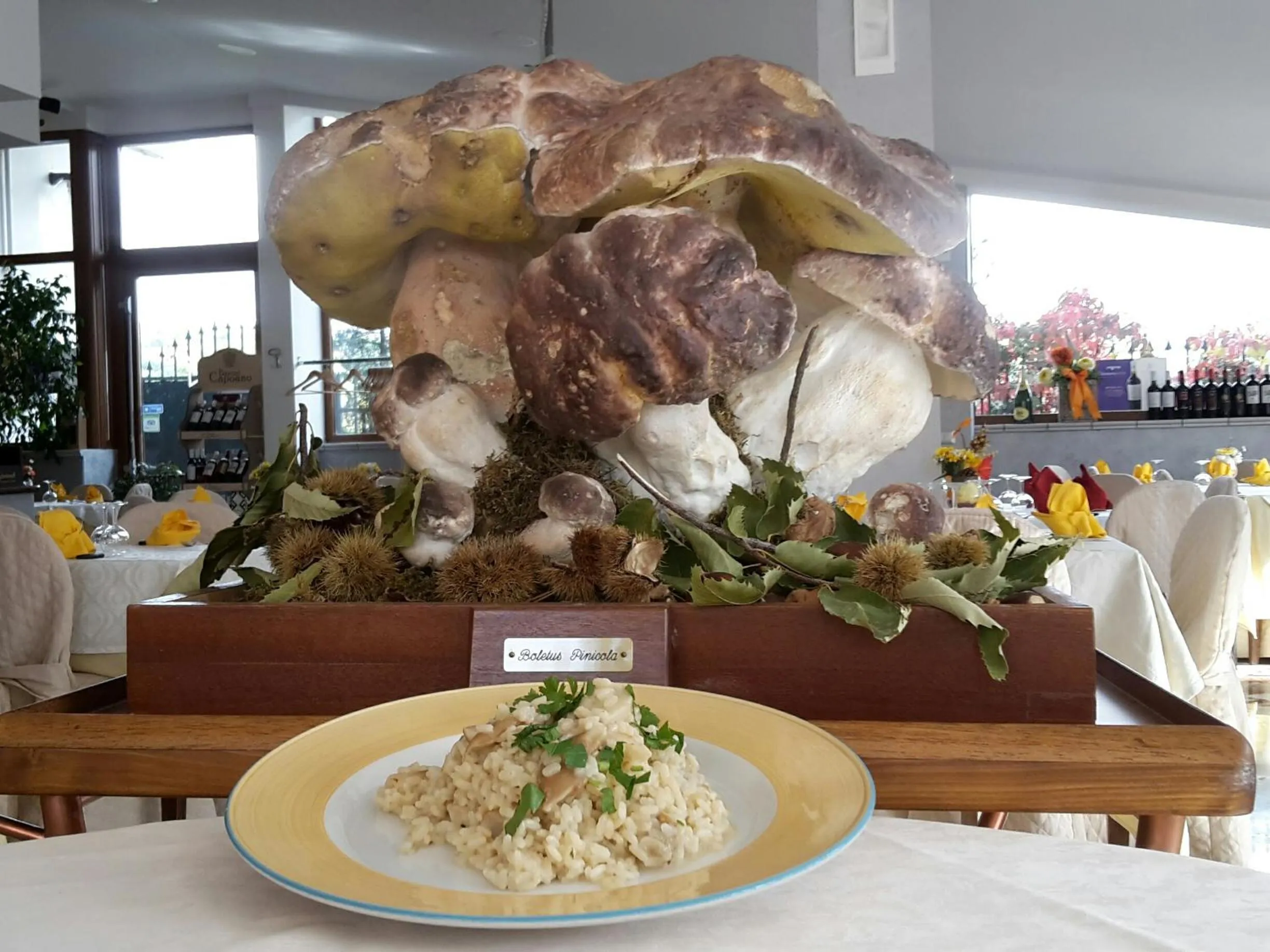 Lunch in Hotel Ristorante SUPERSONIK