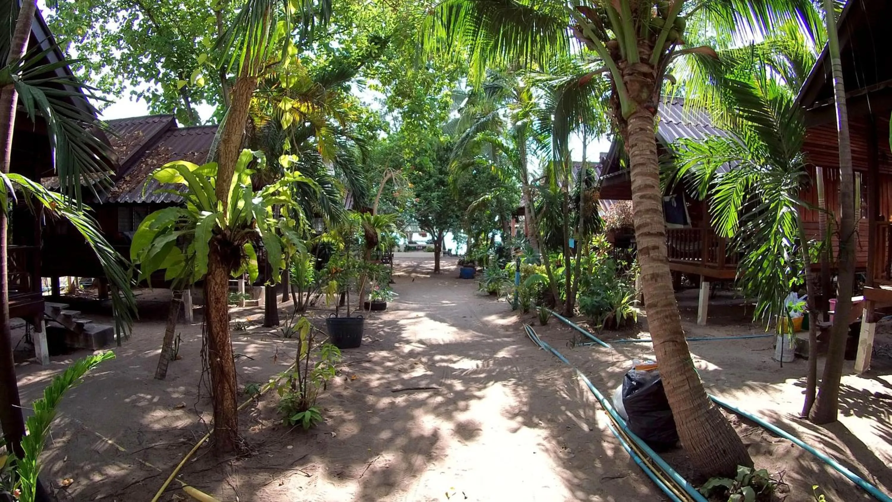 Silver Sands Resort - Koh Tao