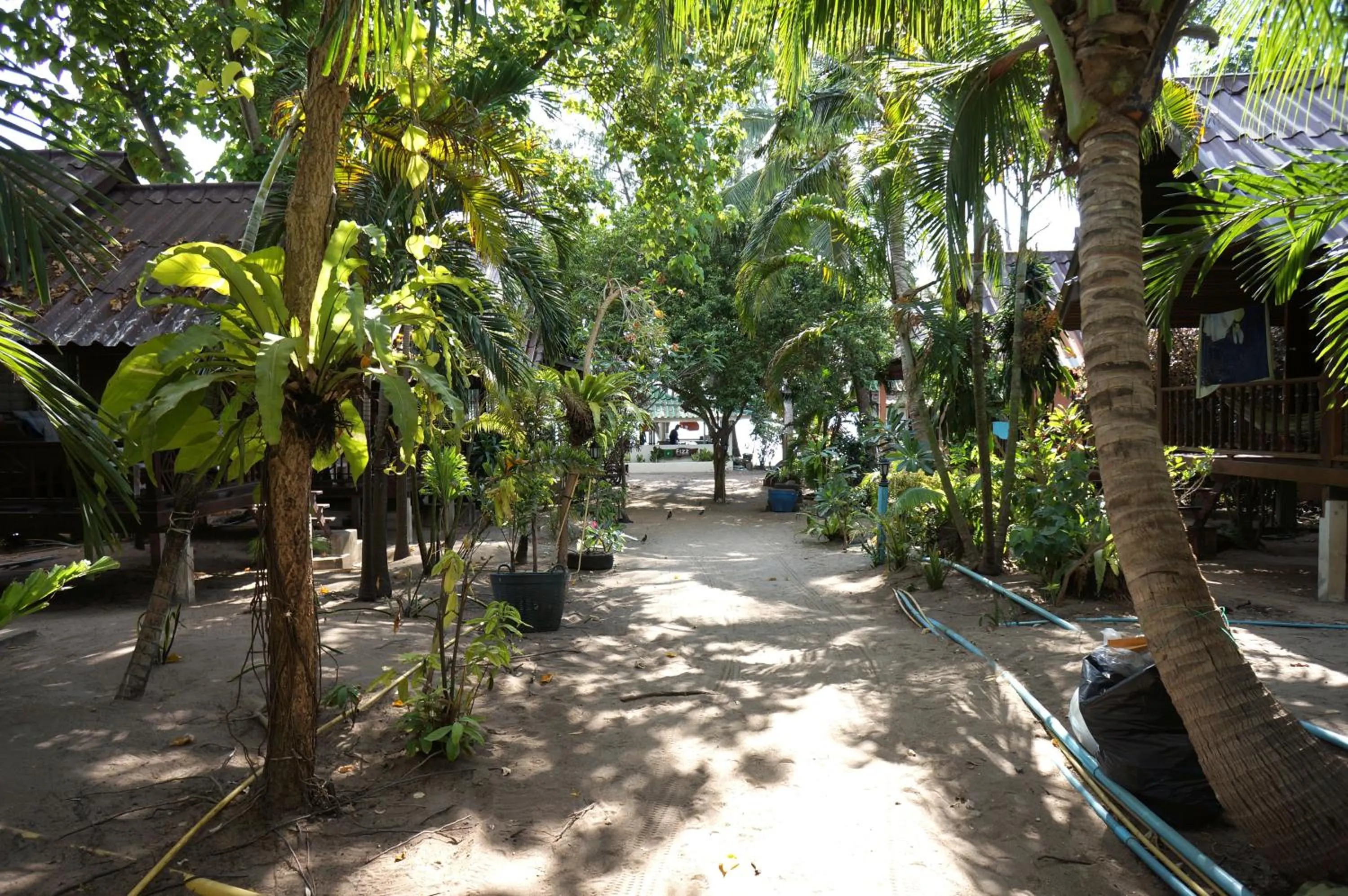 Silver Sands Resort - Koh Tao