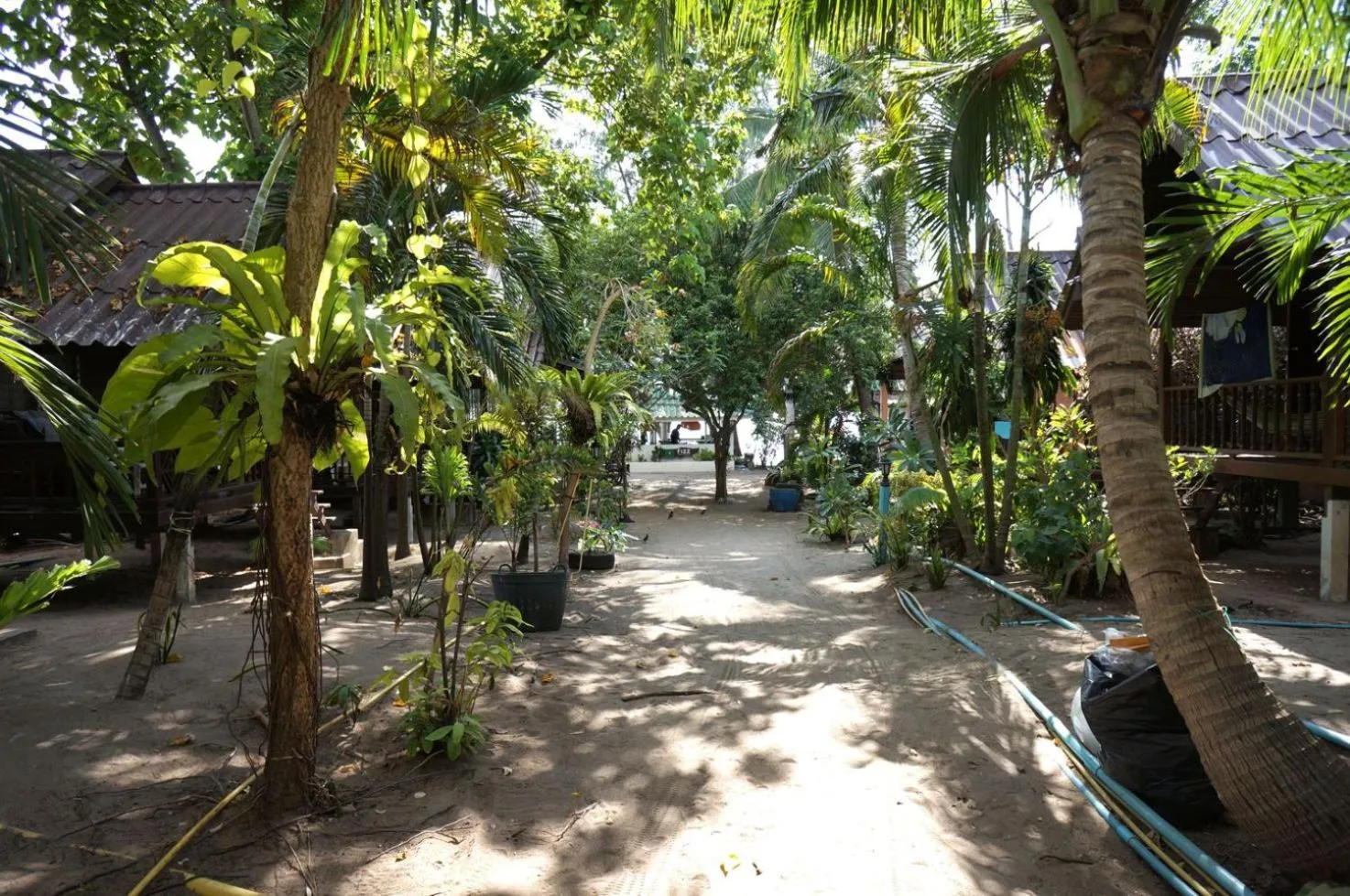 Silver Sands Resort - Koh Tao