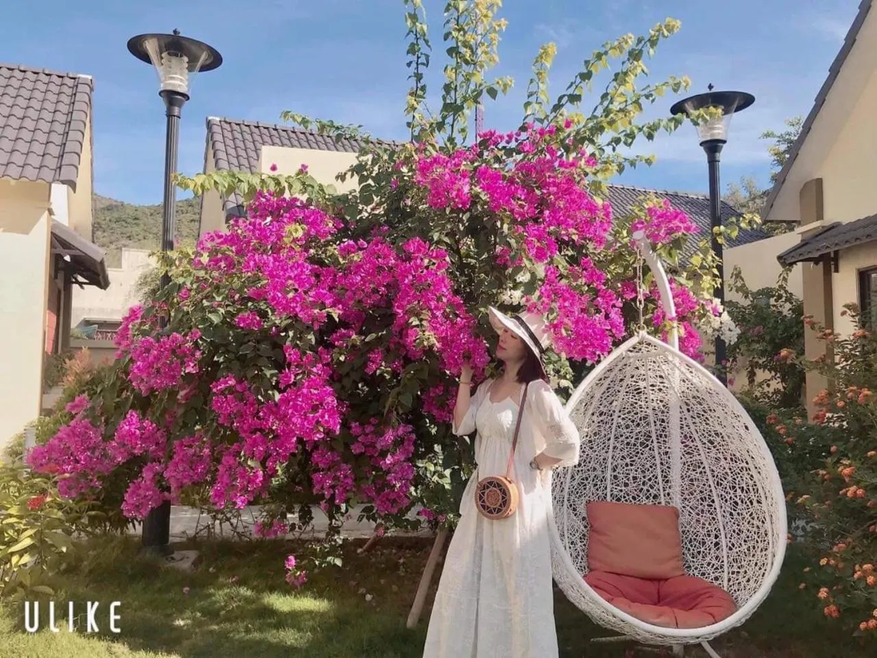 Aloha Bình Tiên-Thôn Bình Tiên, Công Hải, Thuận Bắc, Ninh Thuận, Việt Nam