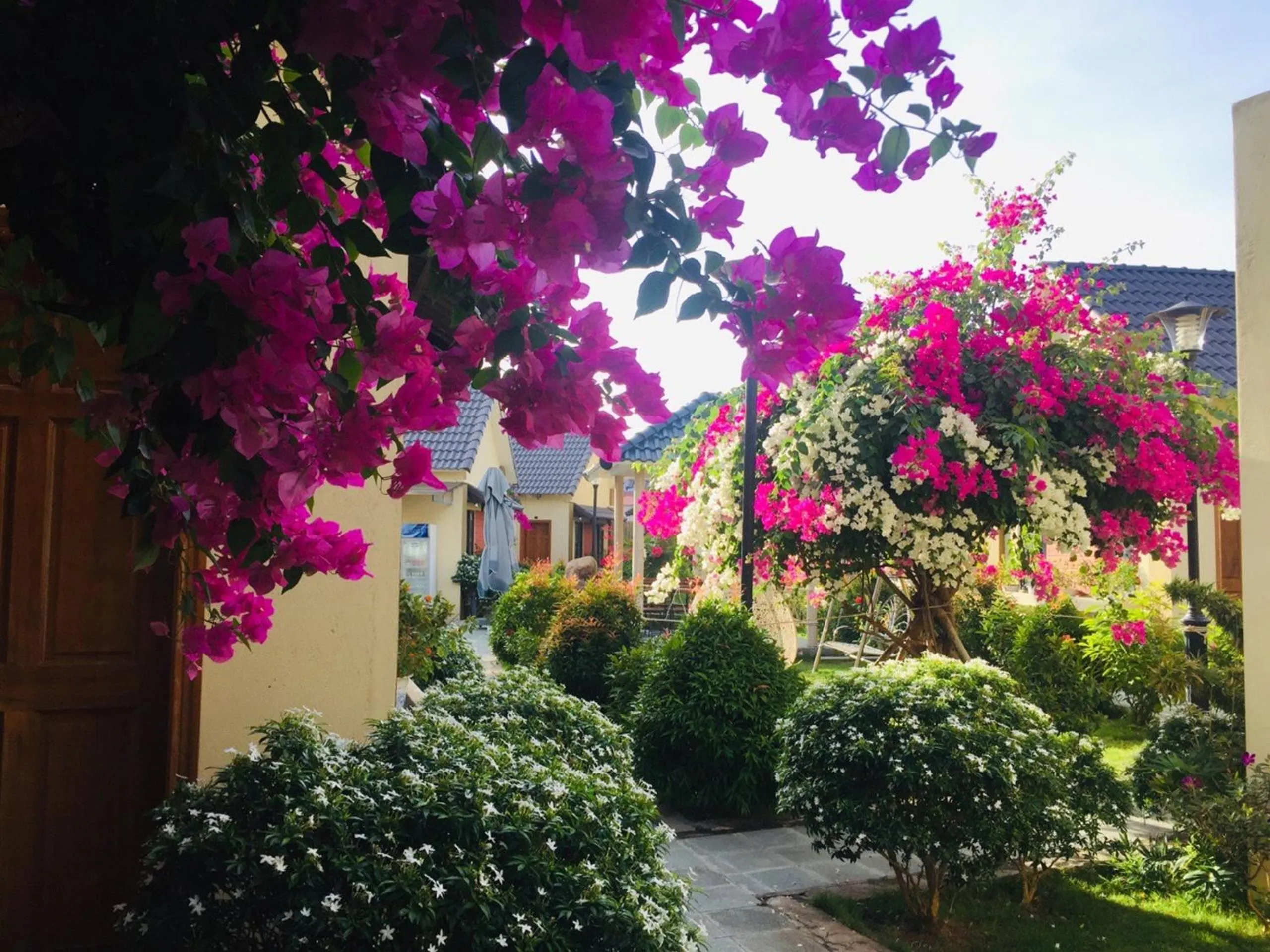 Aloha Bình Tiên-Thôn Bình Tiên, Công Hải, Thuận Bắc, Ninh Thuận, Việt Nam