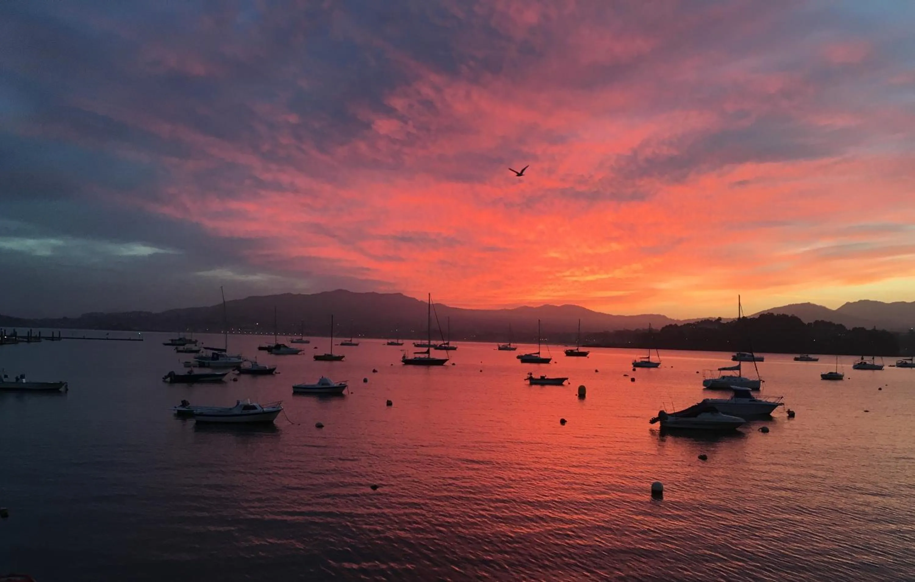 Natural landscape in Hotel Bayona