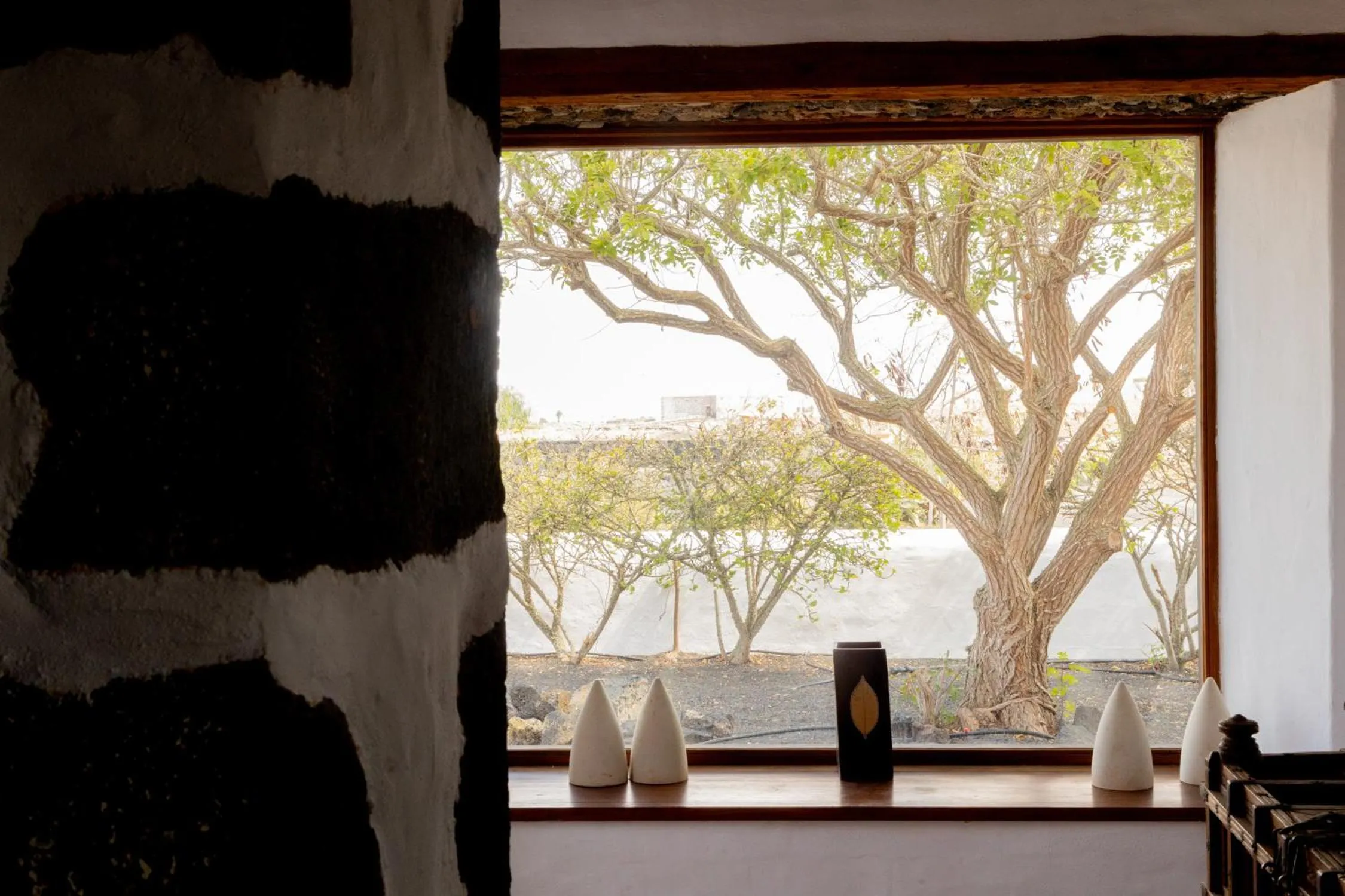 Photo of the whole room in Finca Tomaren