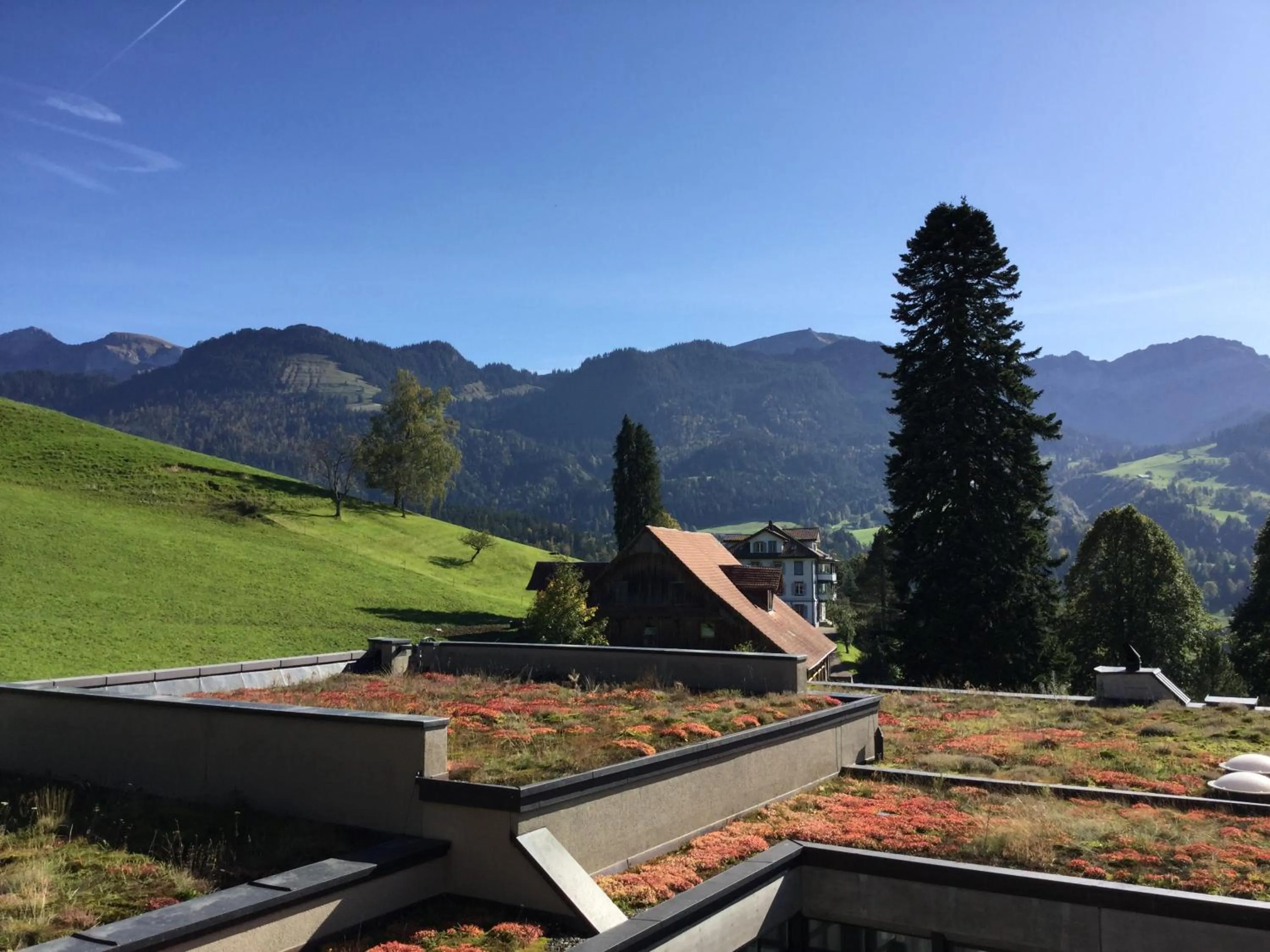 Natural landscape in Hotel Matt