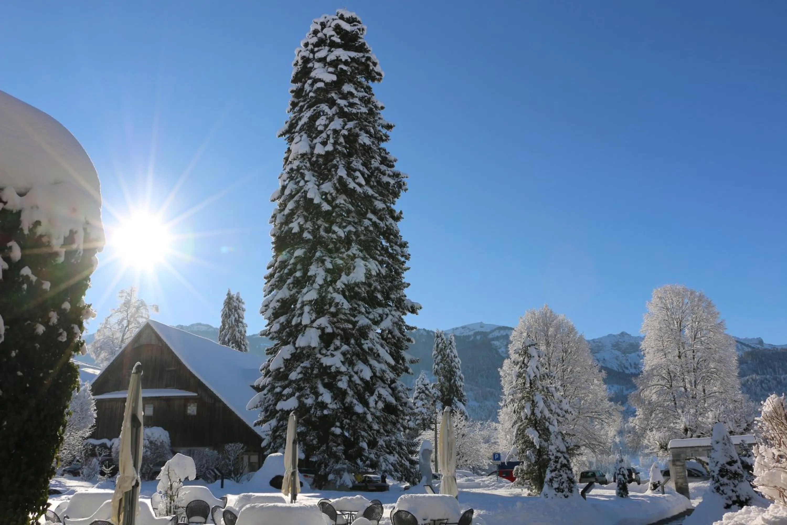 Natural landscape in Hotel Matt