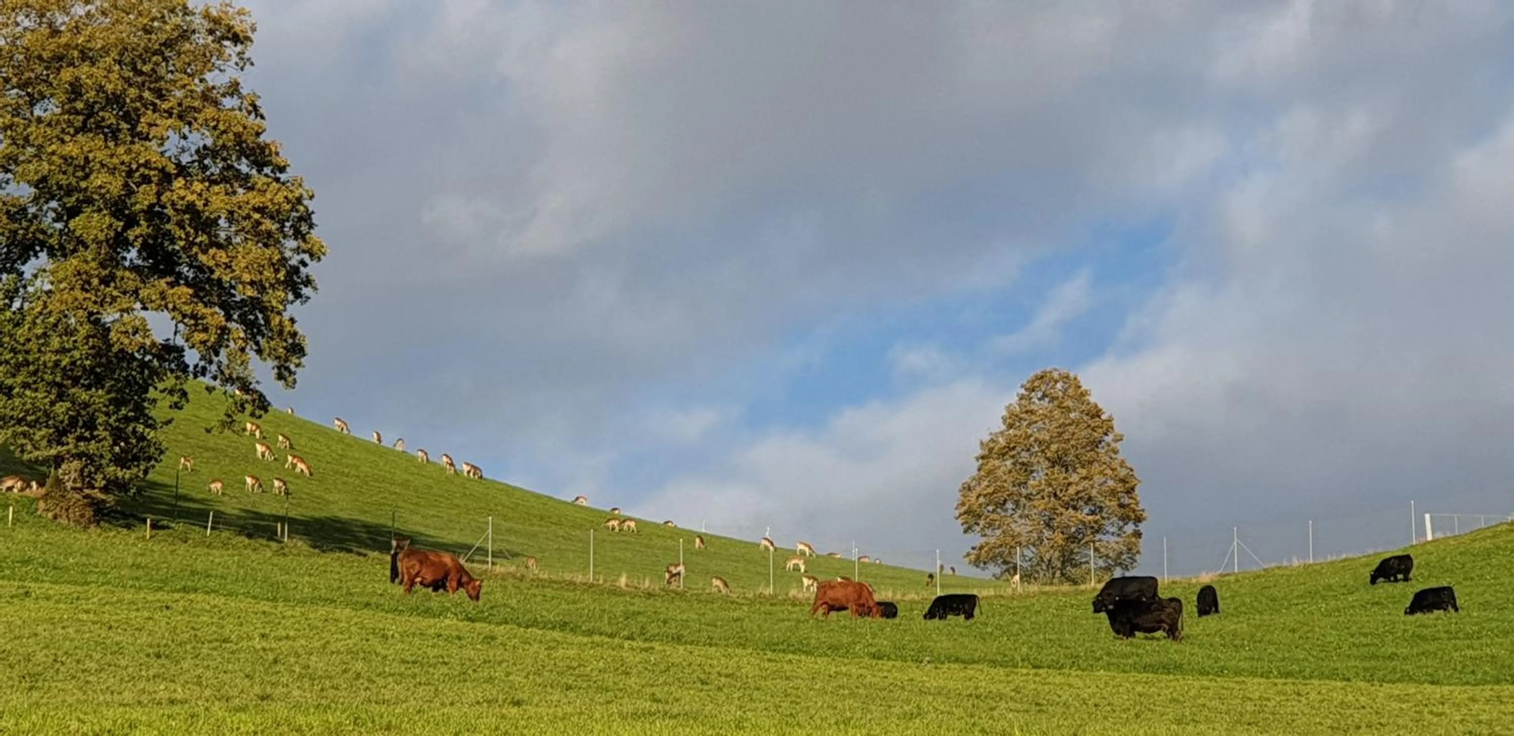 Natural landscape in Hotel Matt