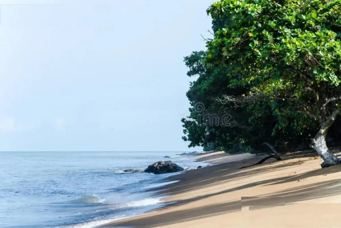 Beach in Hôtel Restaurant Gites Kribi Beach in Hôtel Restaurant Gites Kribi