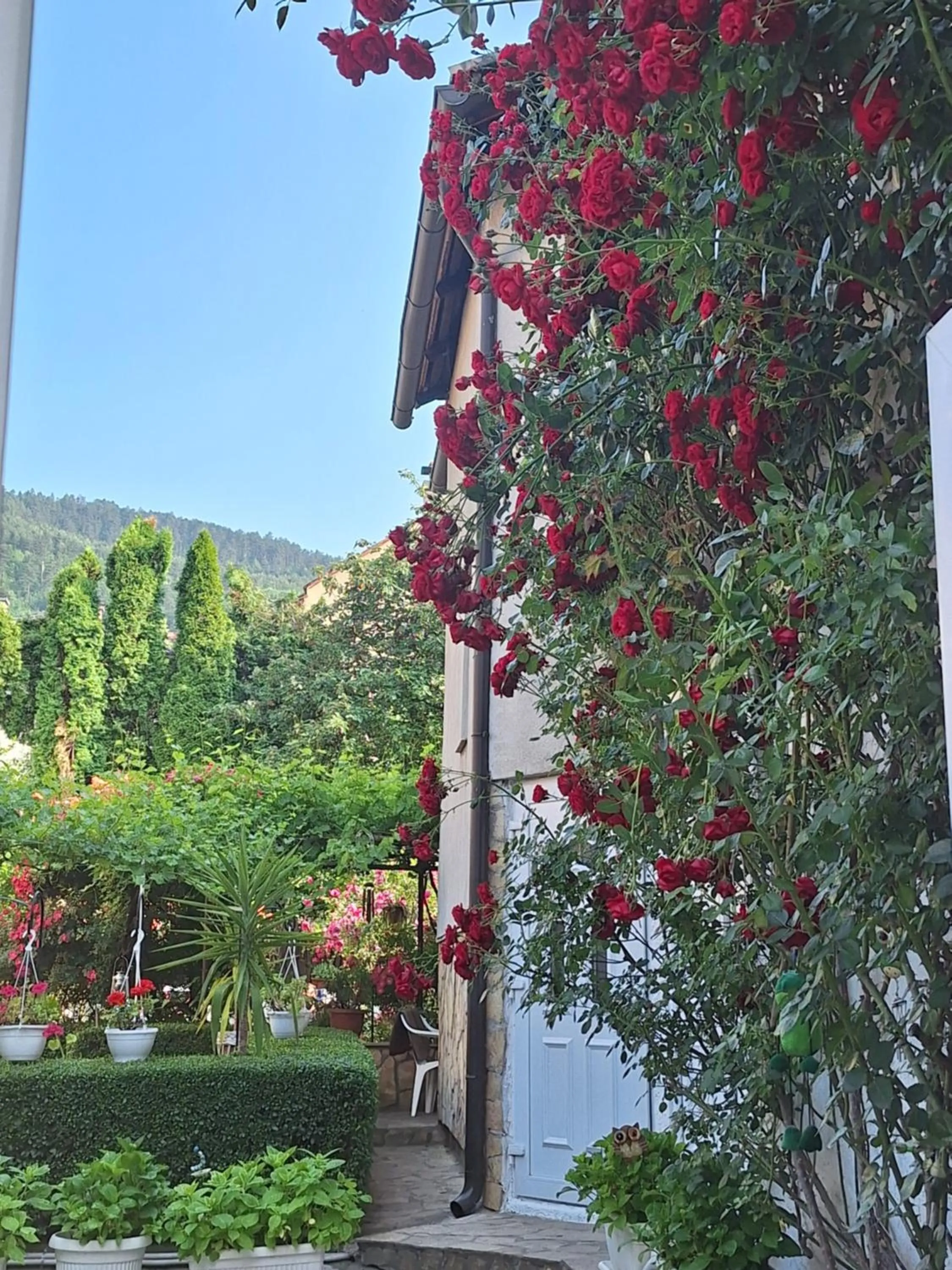 Modern&Cozy Bosnian house with GARDEN+FREE parking