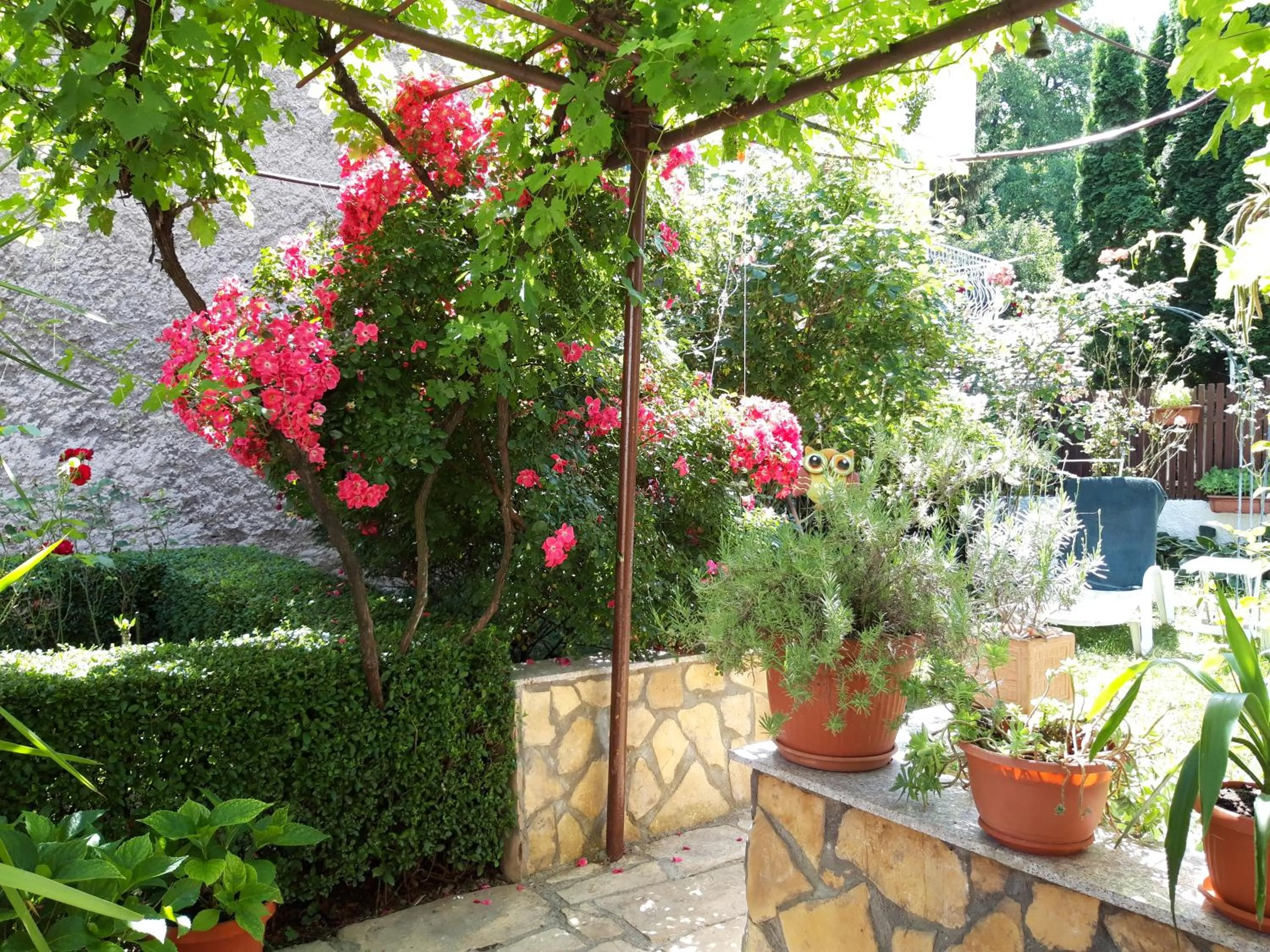 Garden in Modern&Cozy Bosnian house with GARDEN+FREE parking