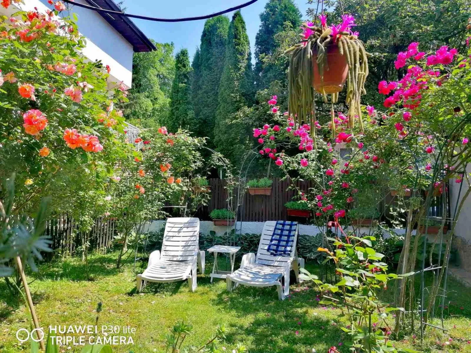 Garden in Modern&Cozy Bosnian house with GARDEN+FREE parking