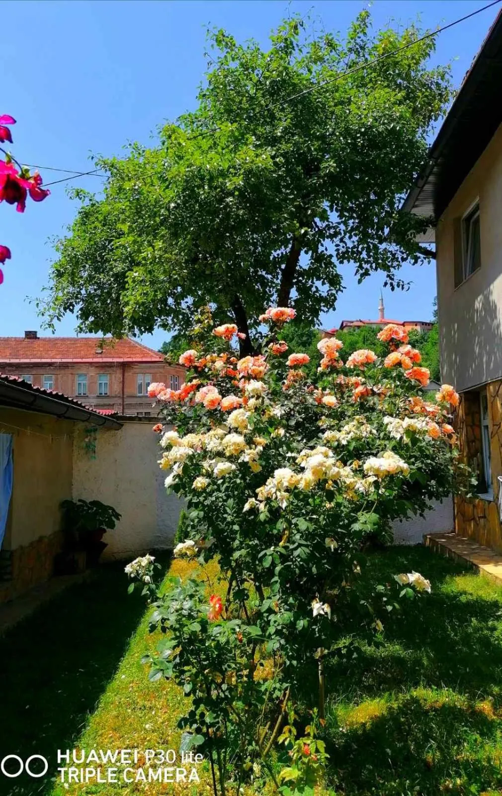 Garden in Modern&Cozy Bosnian house with GARDEN+FREE parking