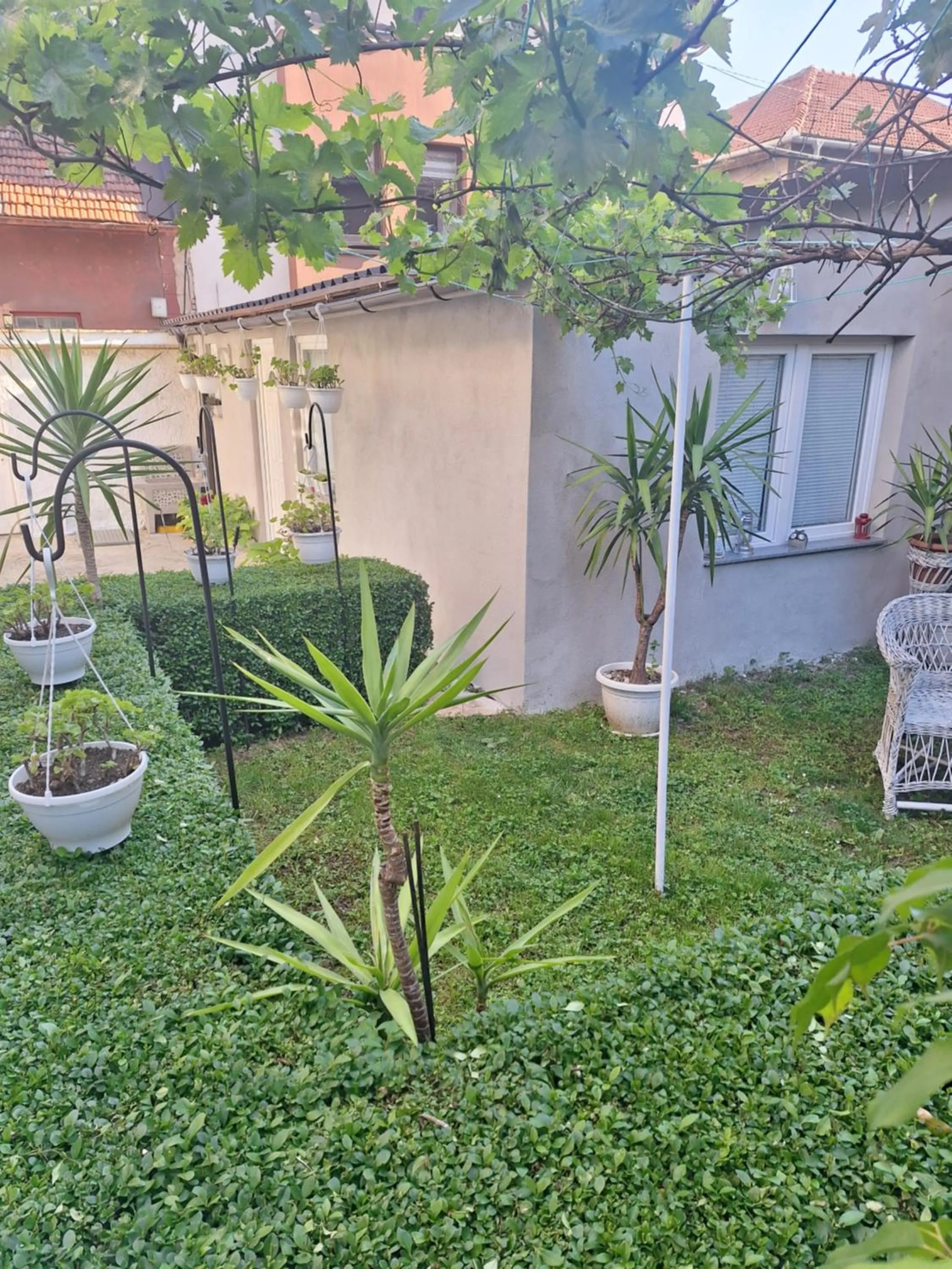 Modern&Cozy Bosnian house with GARDEN+FREE parking