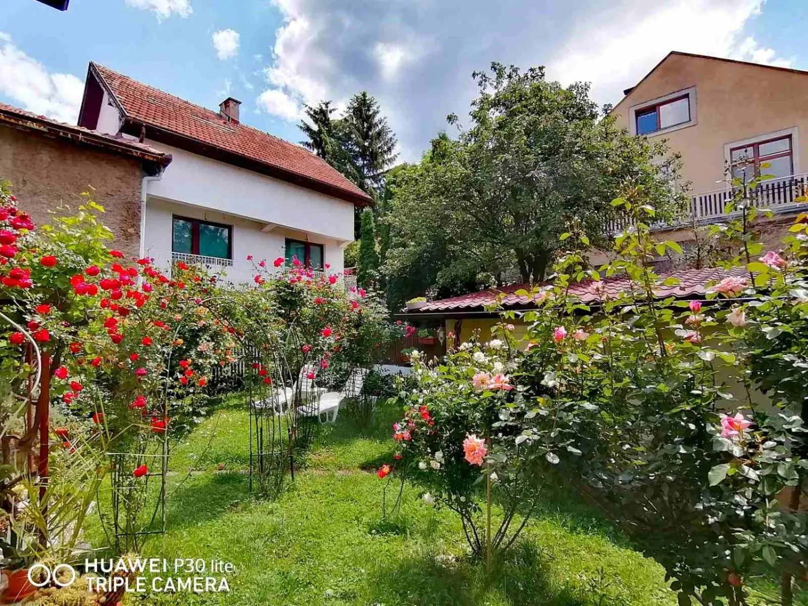 Garden in Modern&Cozy Bosnian house with GARDEN+FREE parking