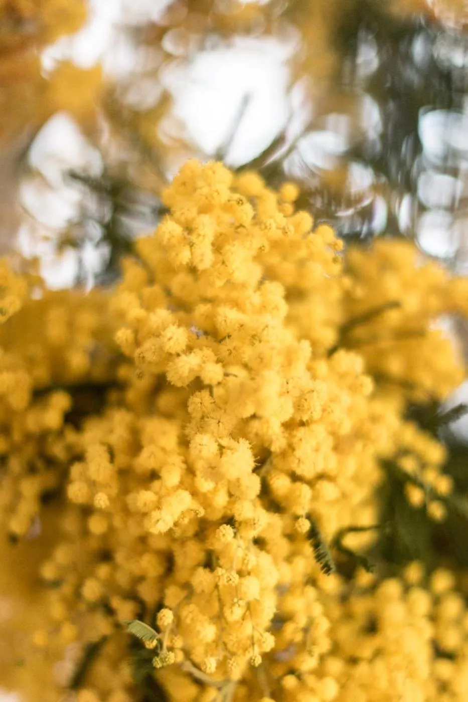 Lobby or reception in Agave in Città