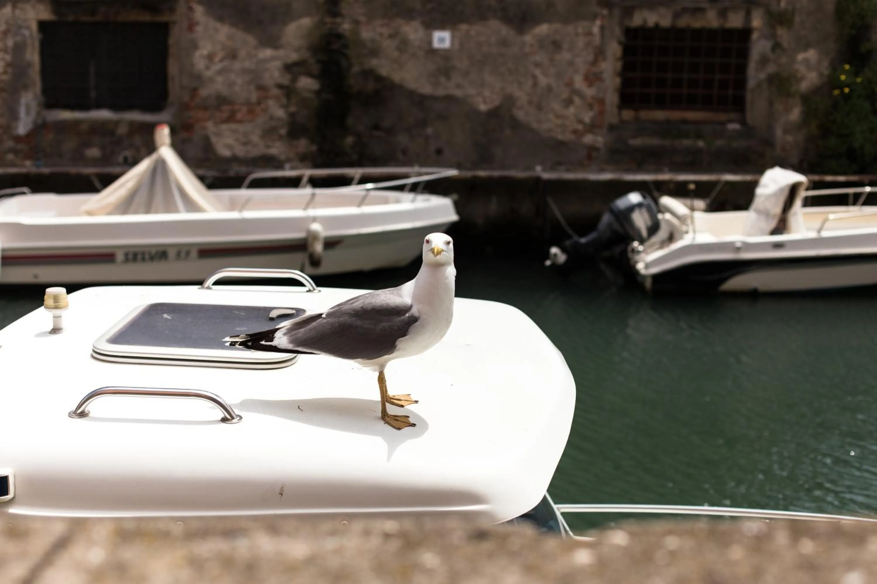 Neighbourhood in Agave in Città