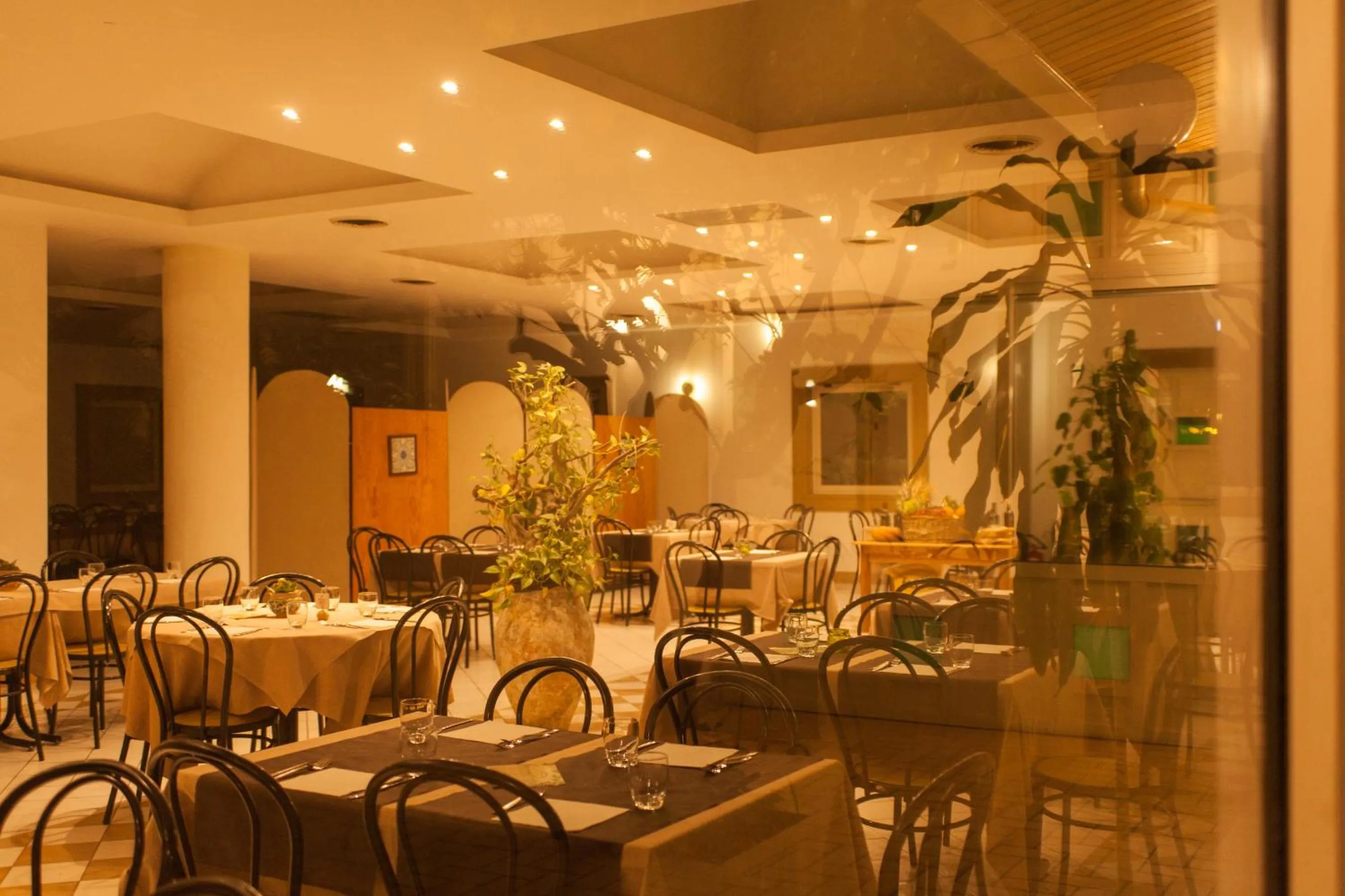 Restaurant/places to eat in L'Albero