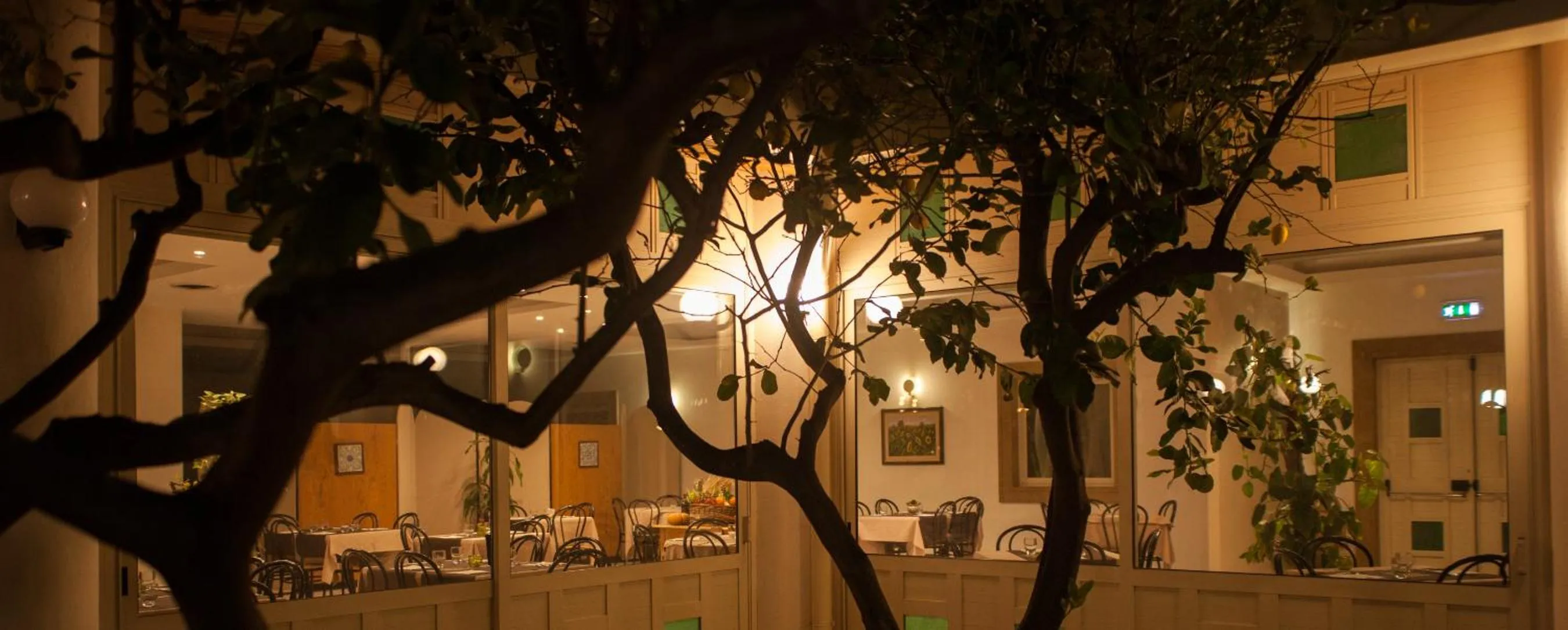 Garden view in L'Albero