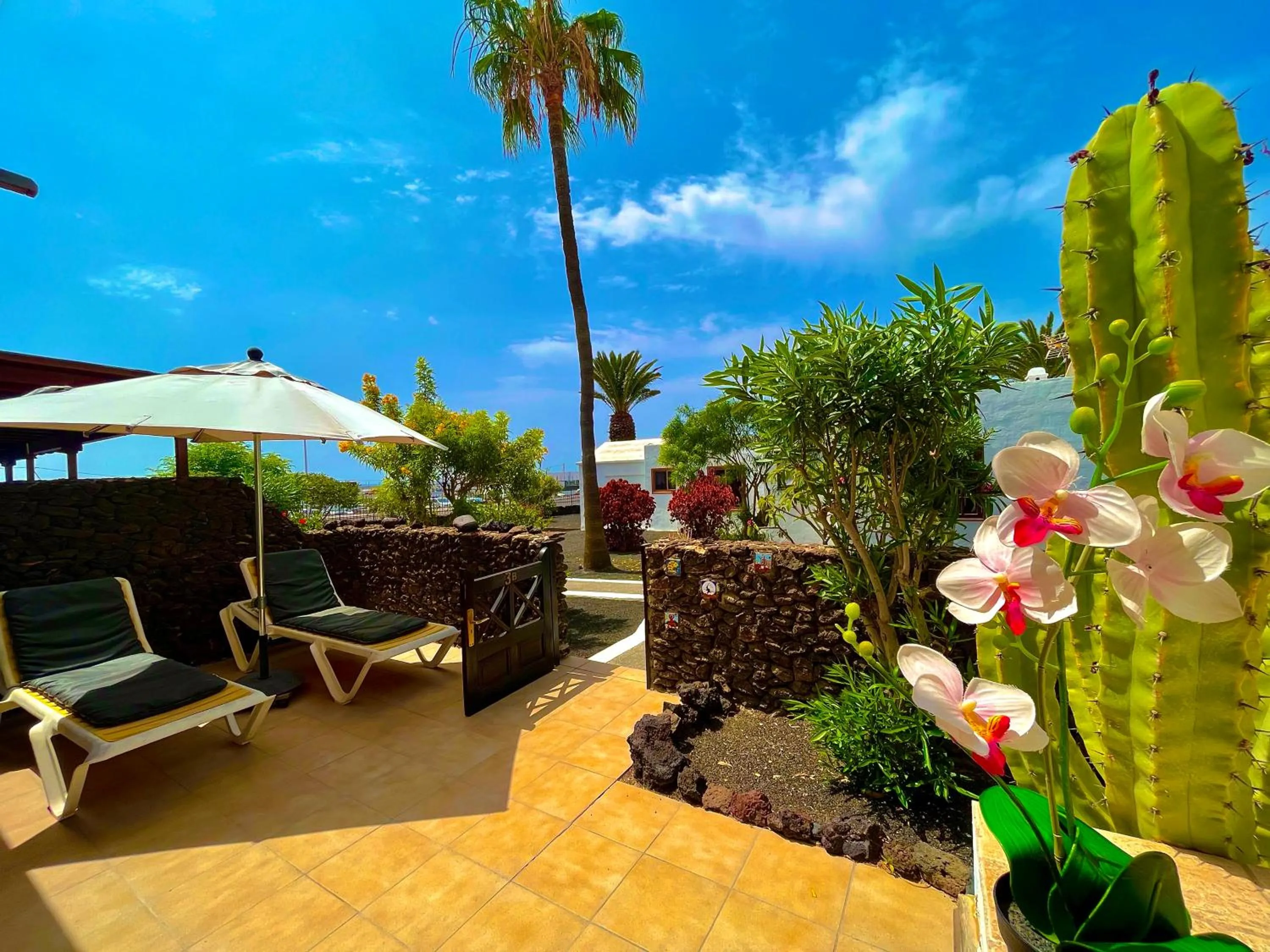 Patio in Casas del Sol