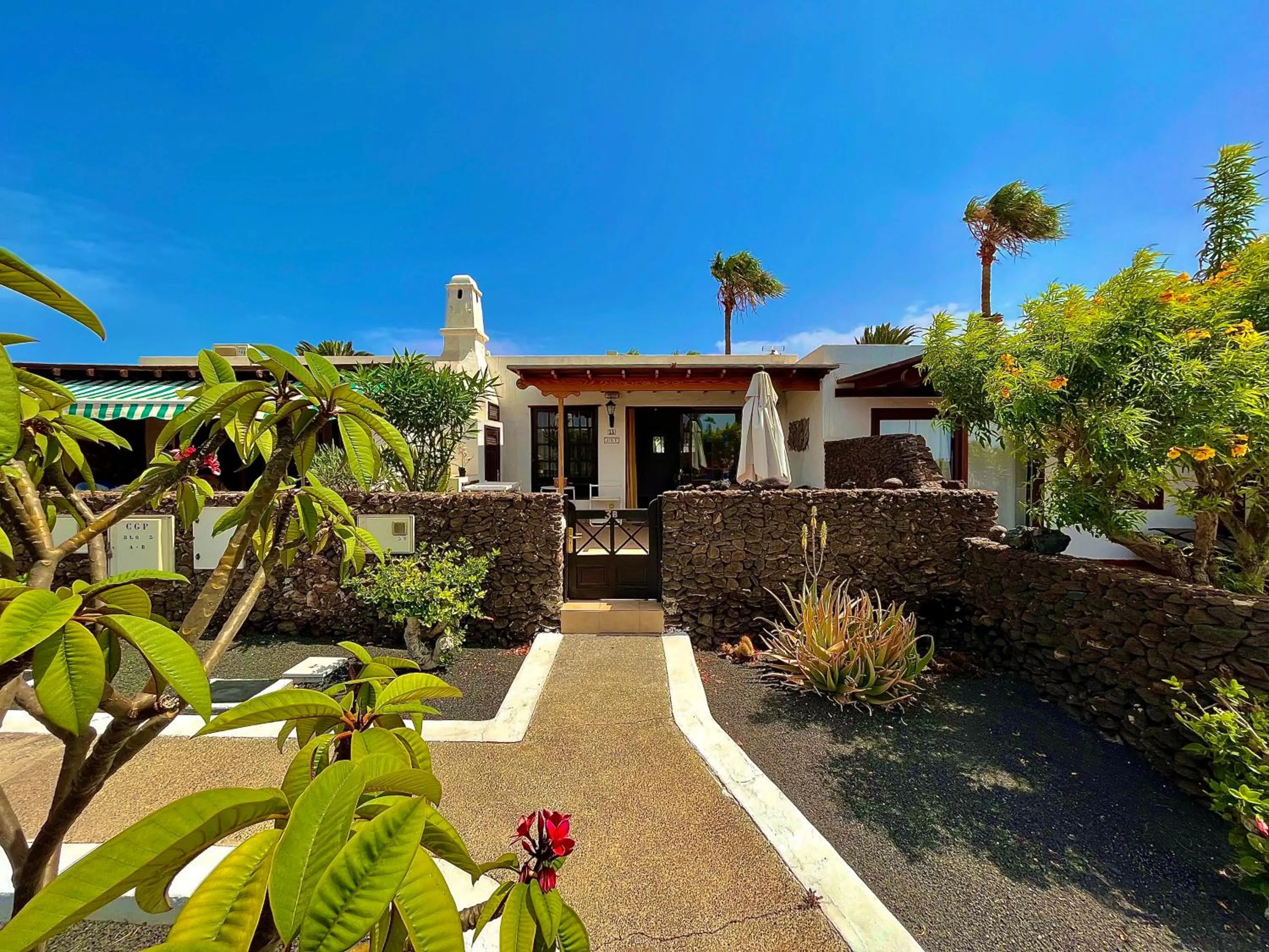 Garden in Casas del Sol