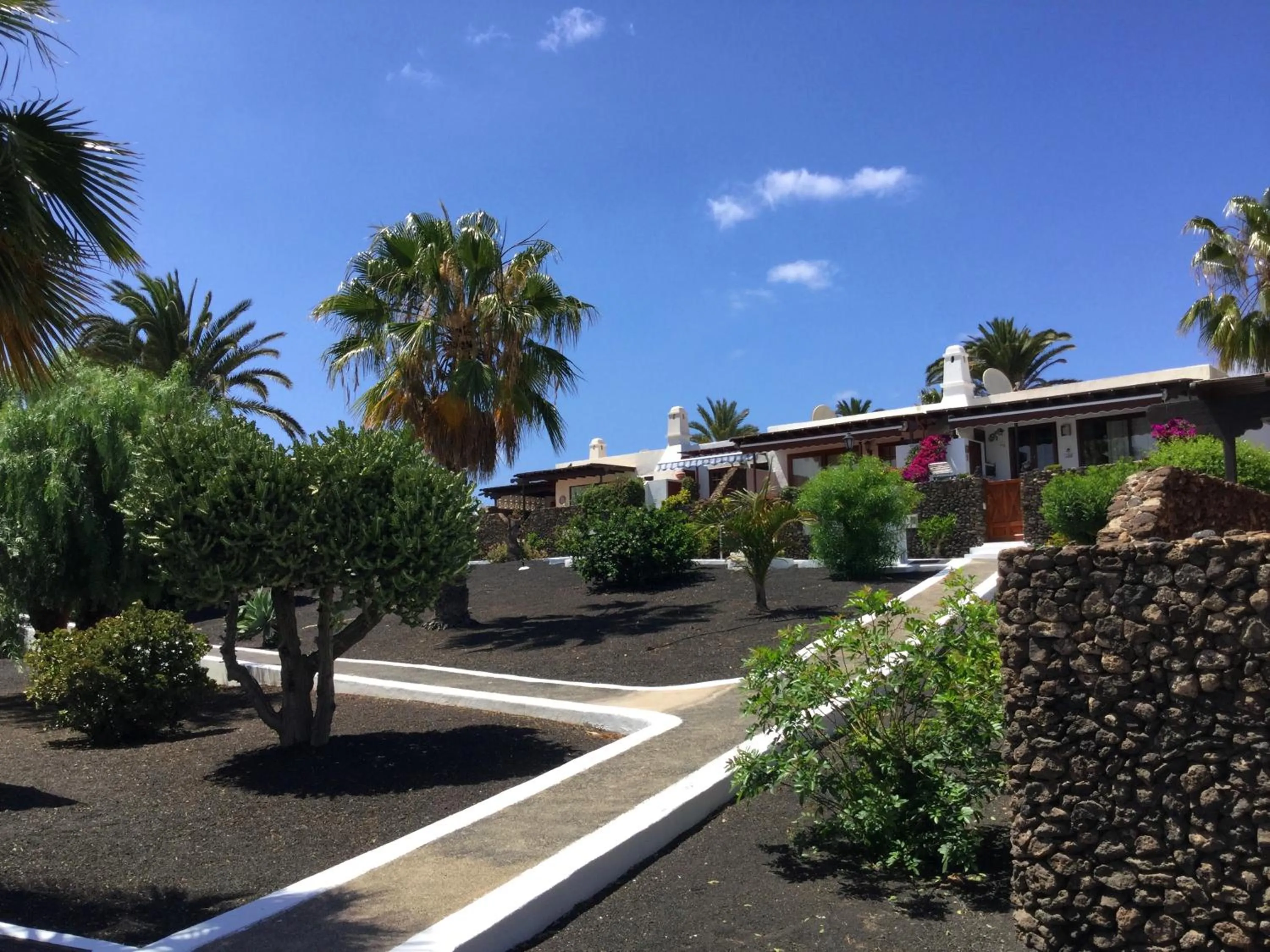 Garden in Casas del Sol