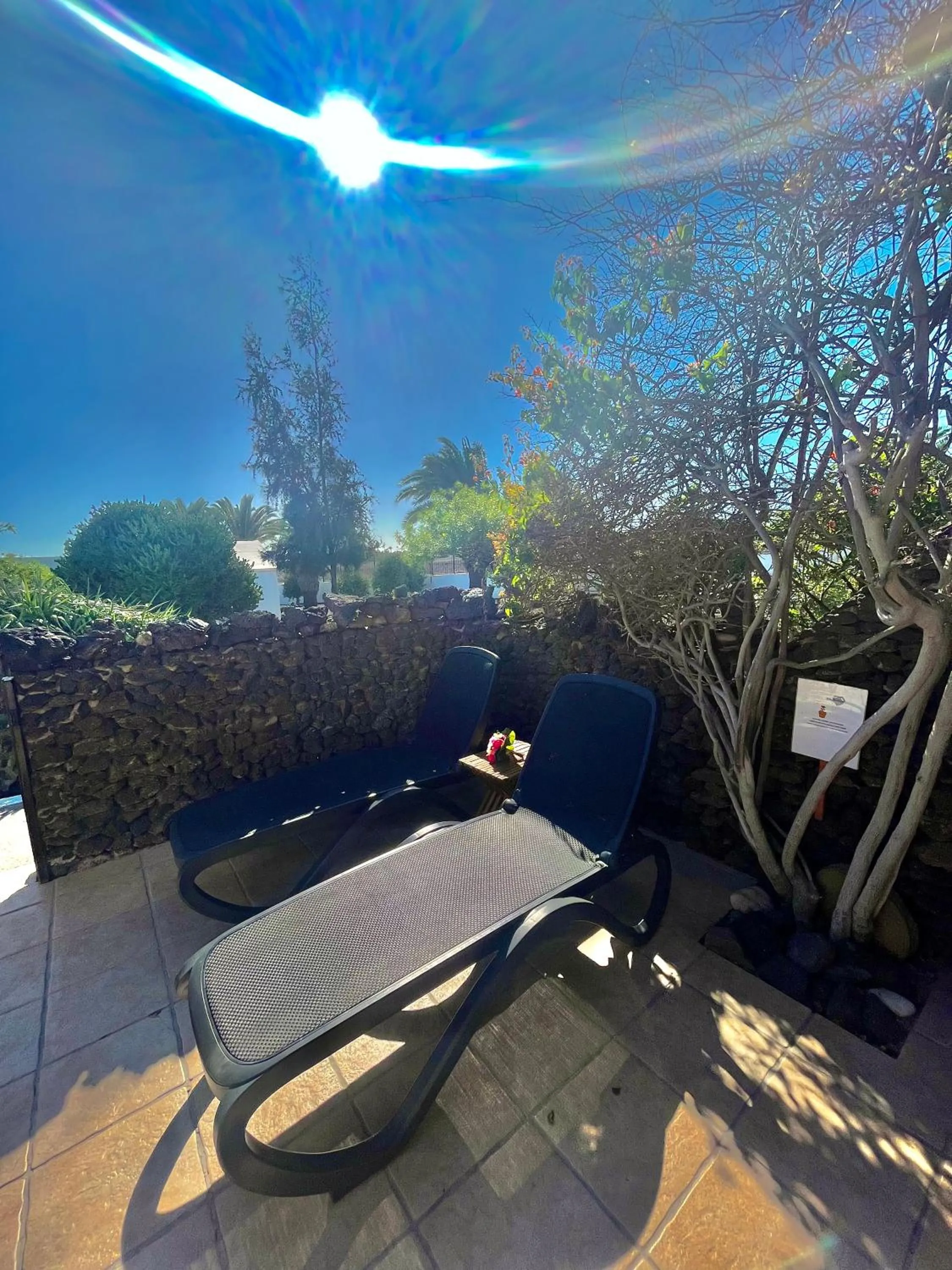 Garden in Casas del Sol