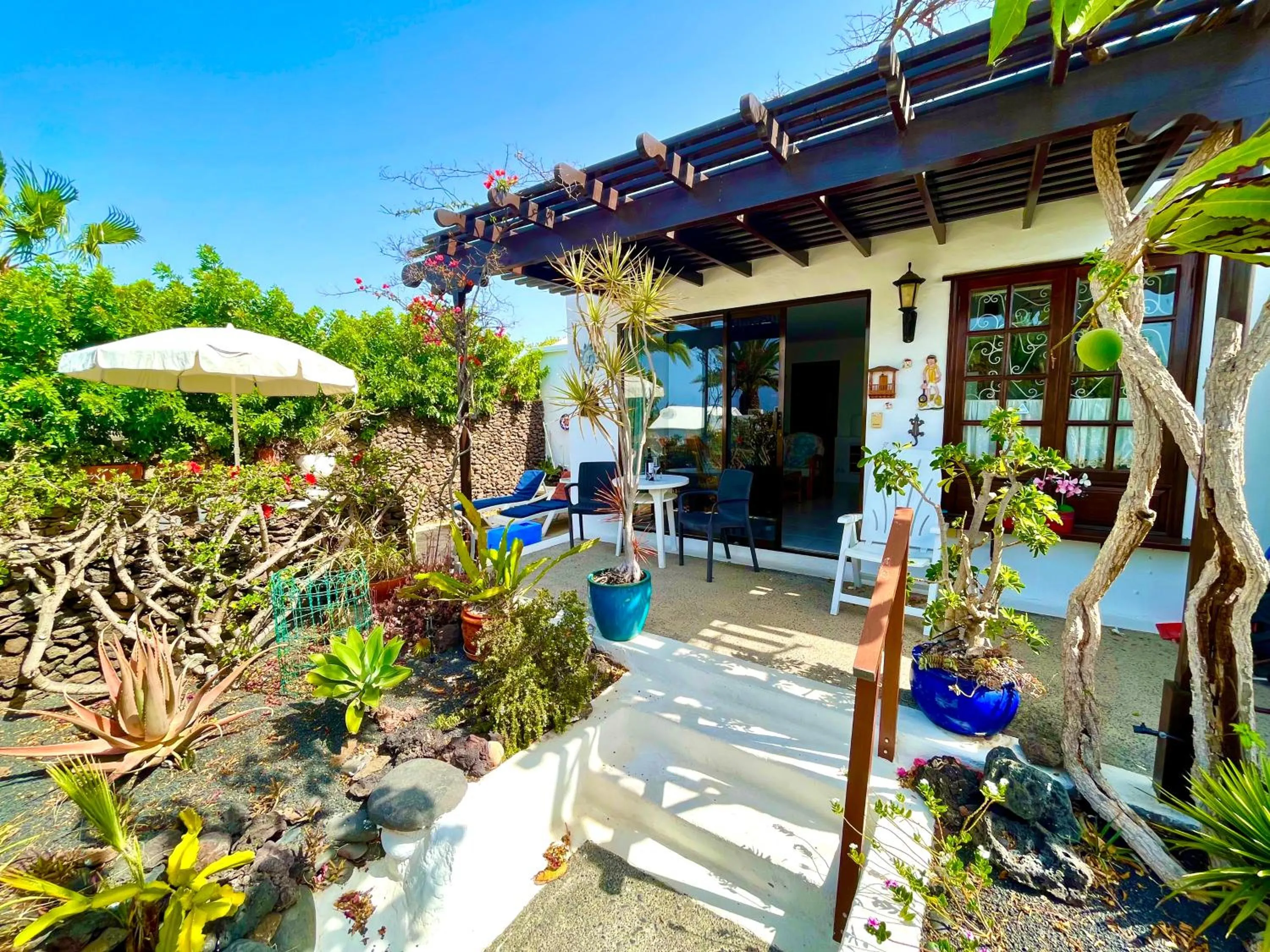 Garden in Casas del Sol