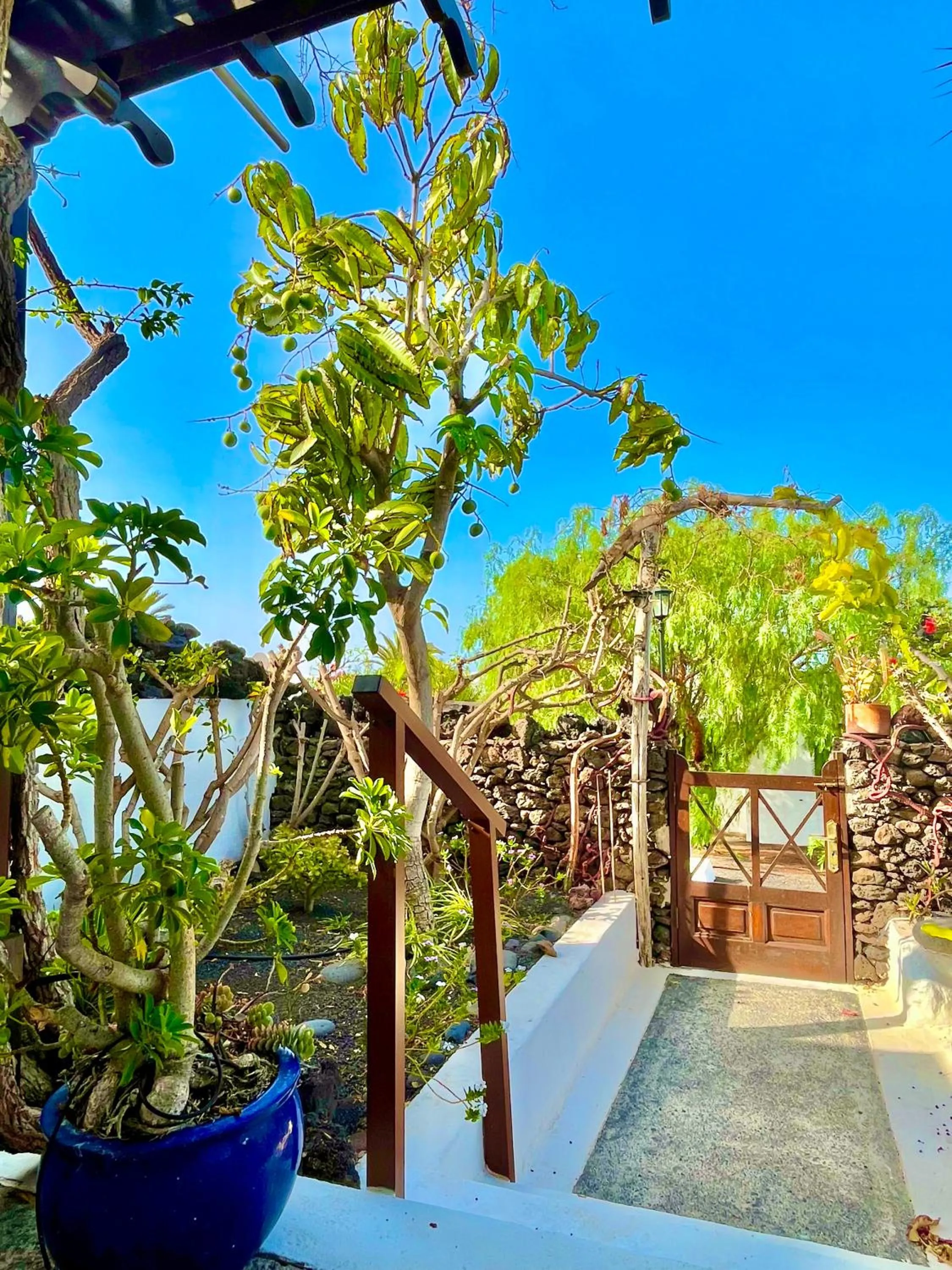 Garden in Casas del Sol
