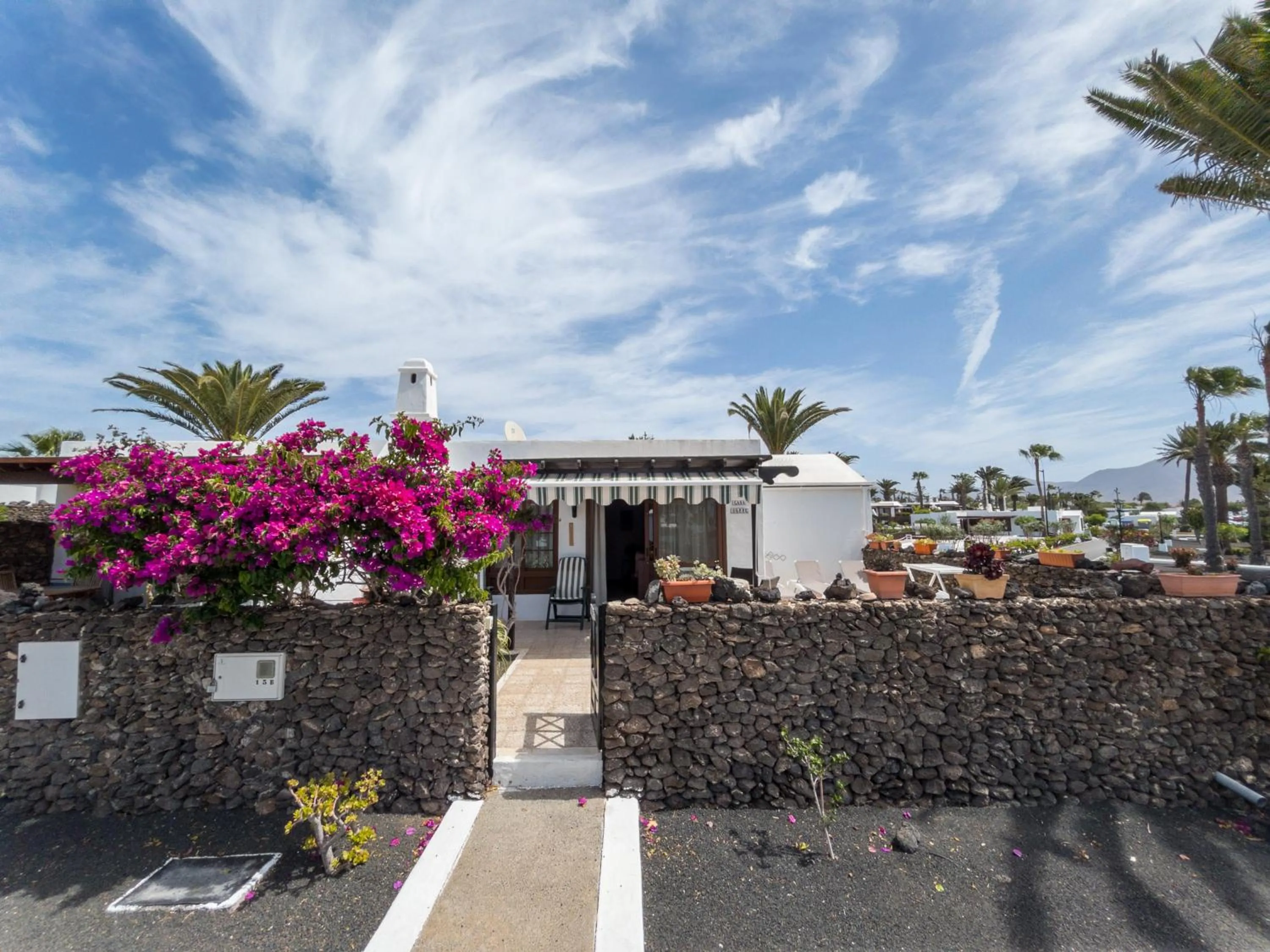 Garden in Casas del Sol