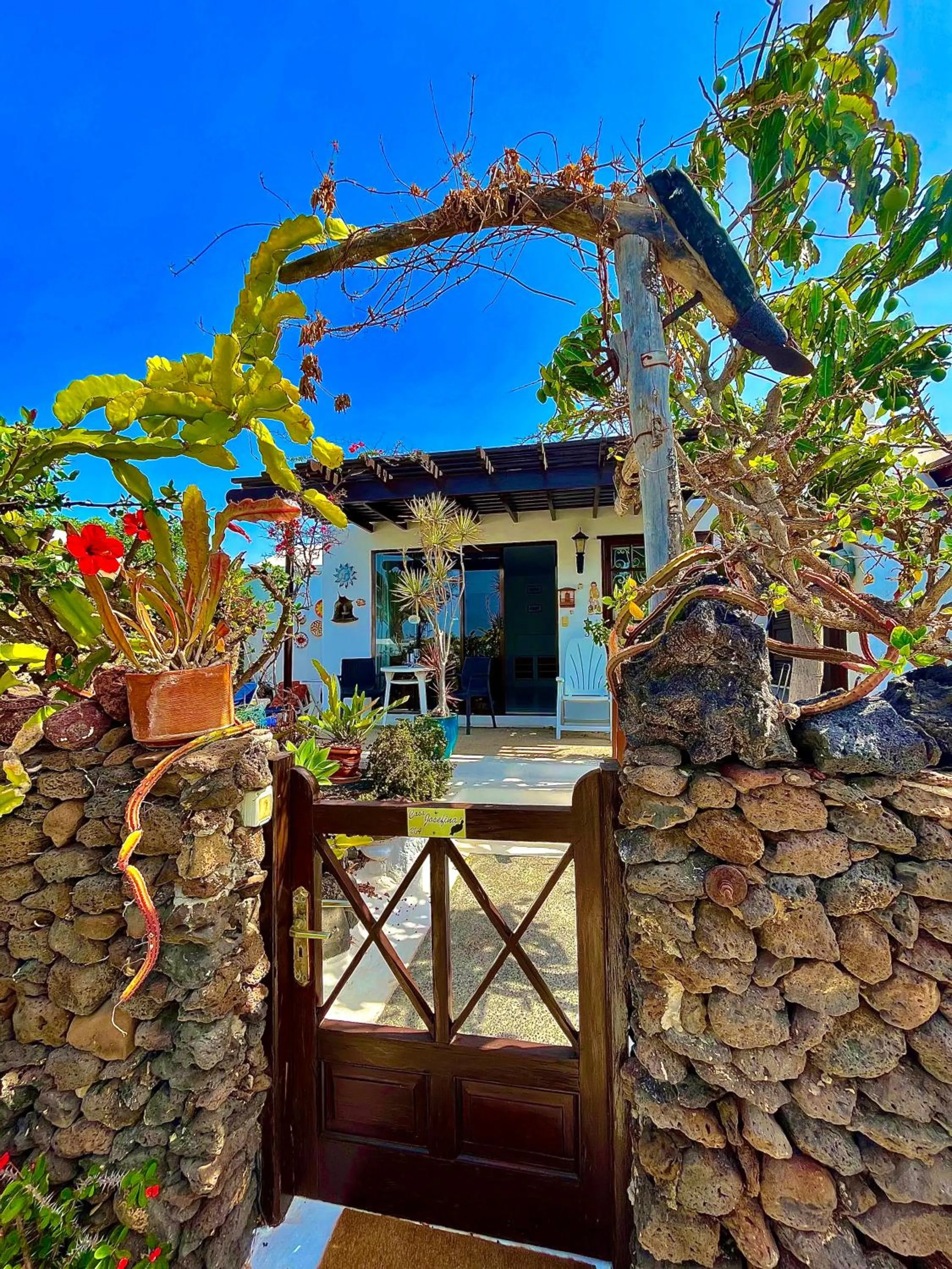 Garden view in Casas del Sol