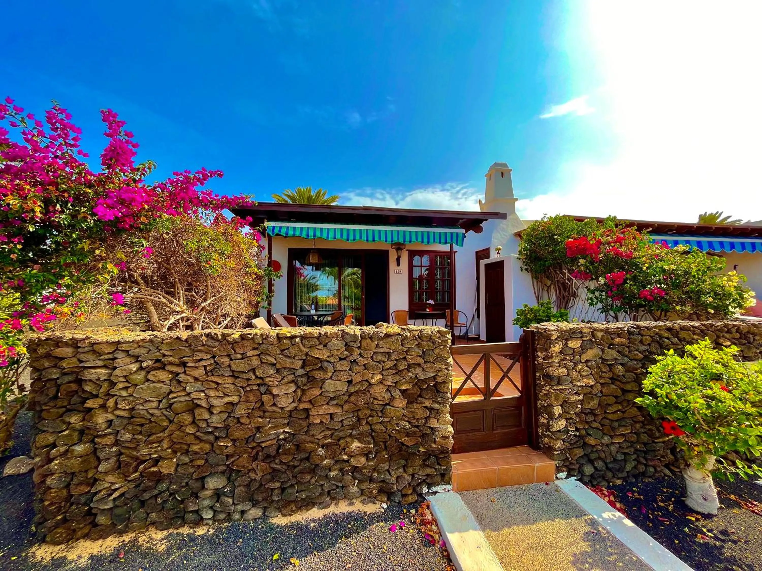 Garden in Casas del Sol