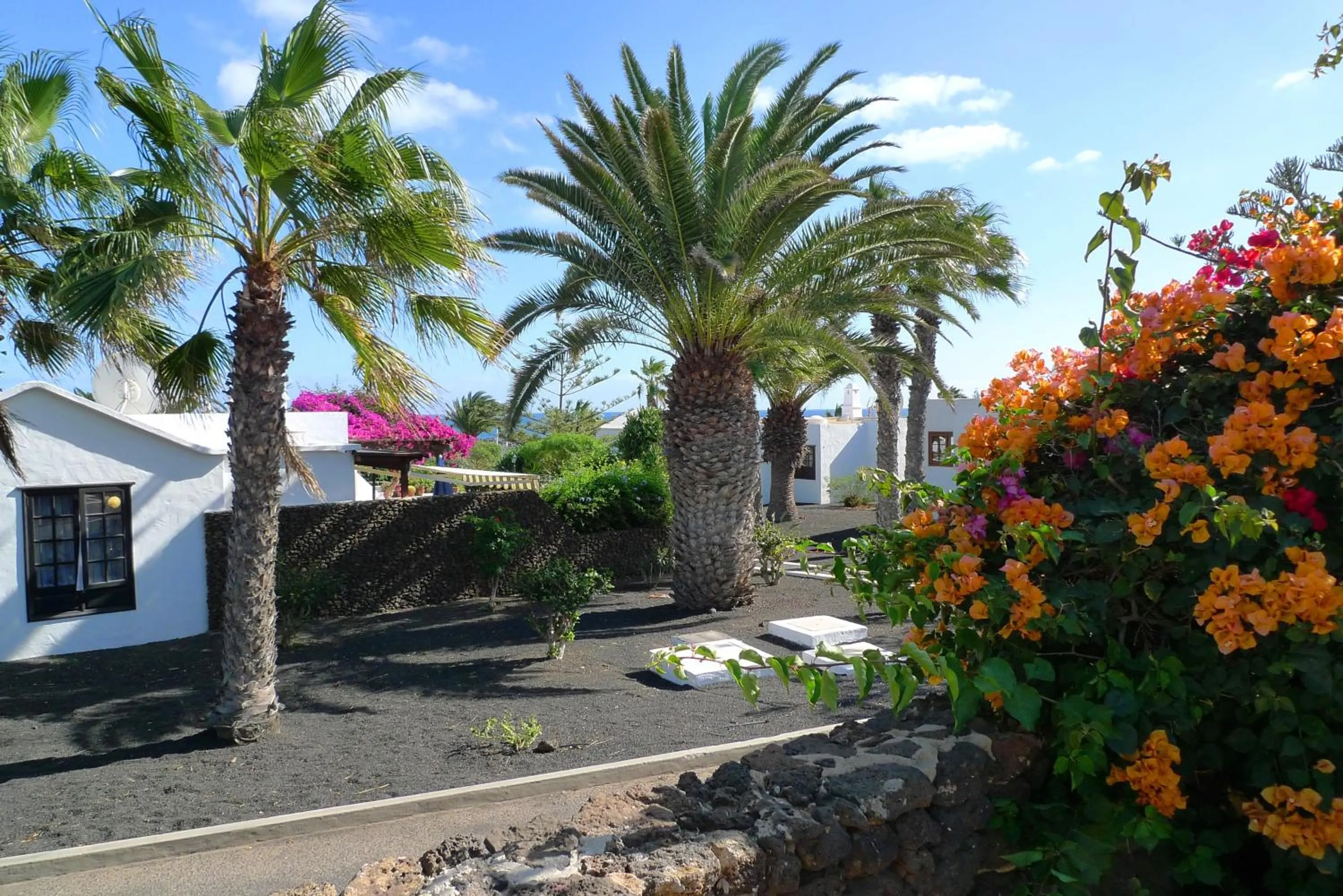 Garden in Casas del Sol