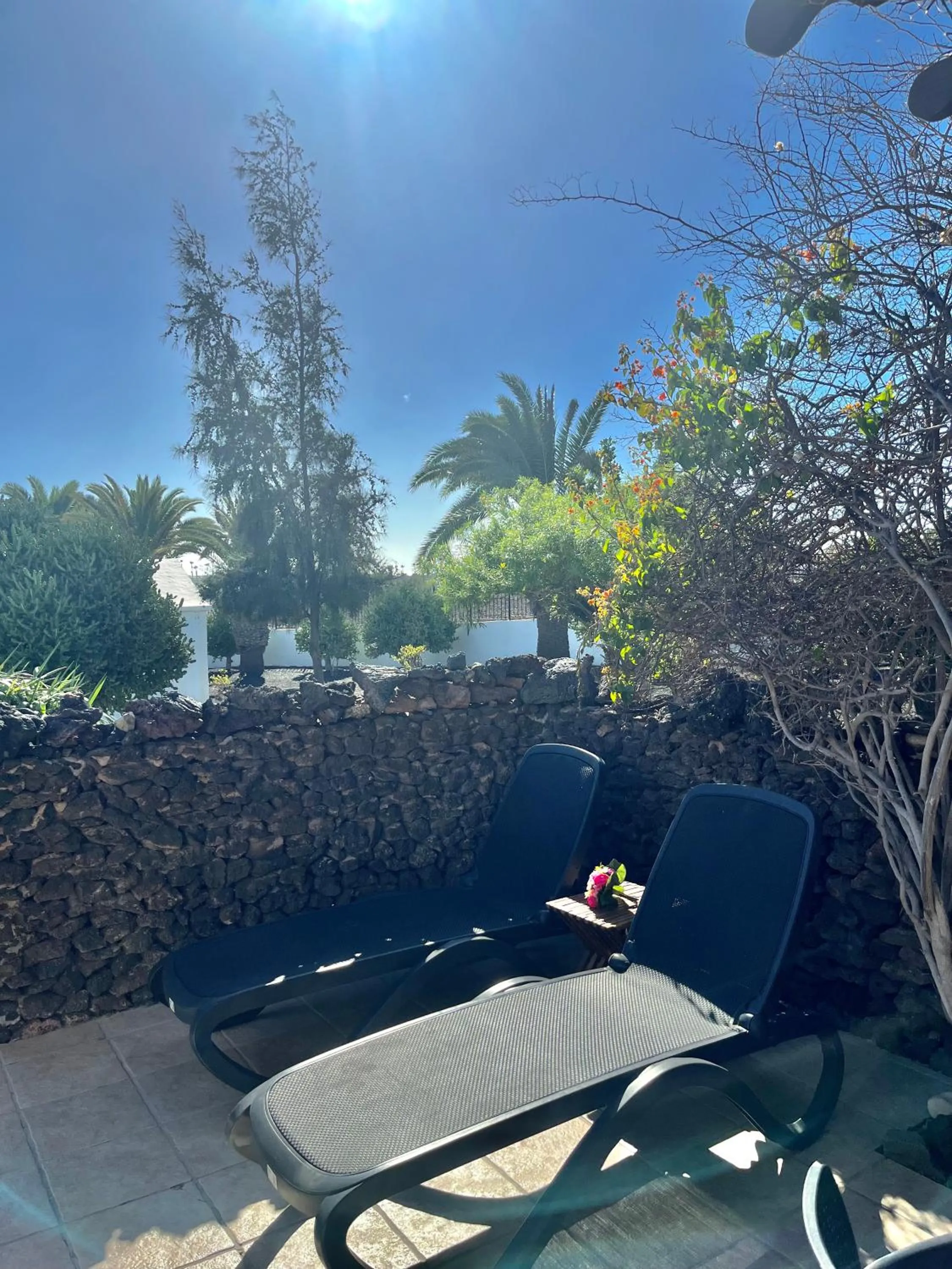 Patio in Casas del Sol