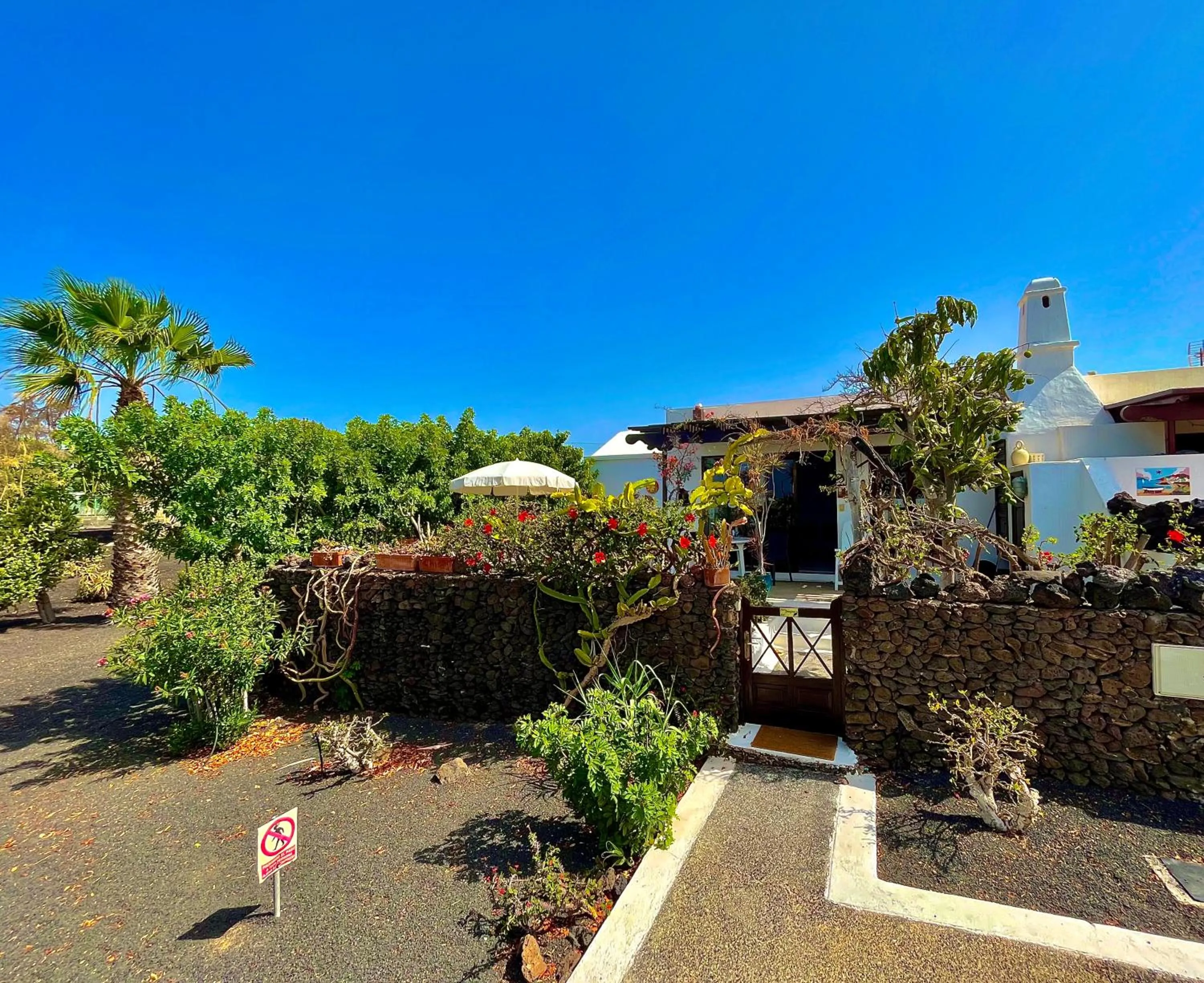 Garden in Casas del Sol