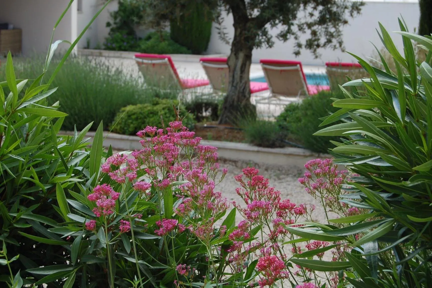 sunbed in La Goutadou