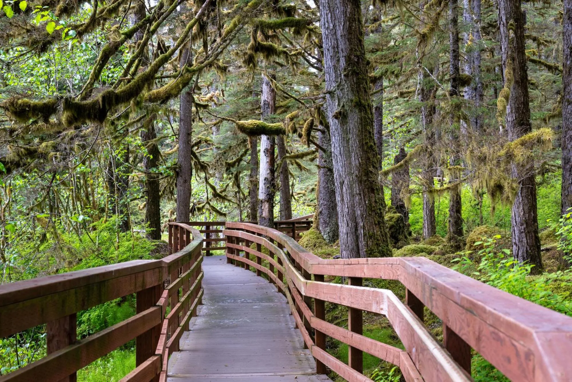 Hiking in Glacier Bay Lodge