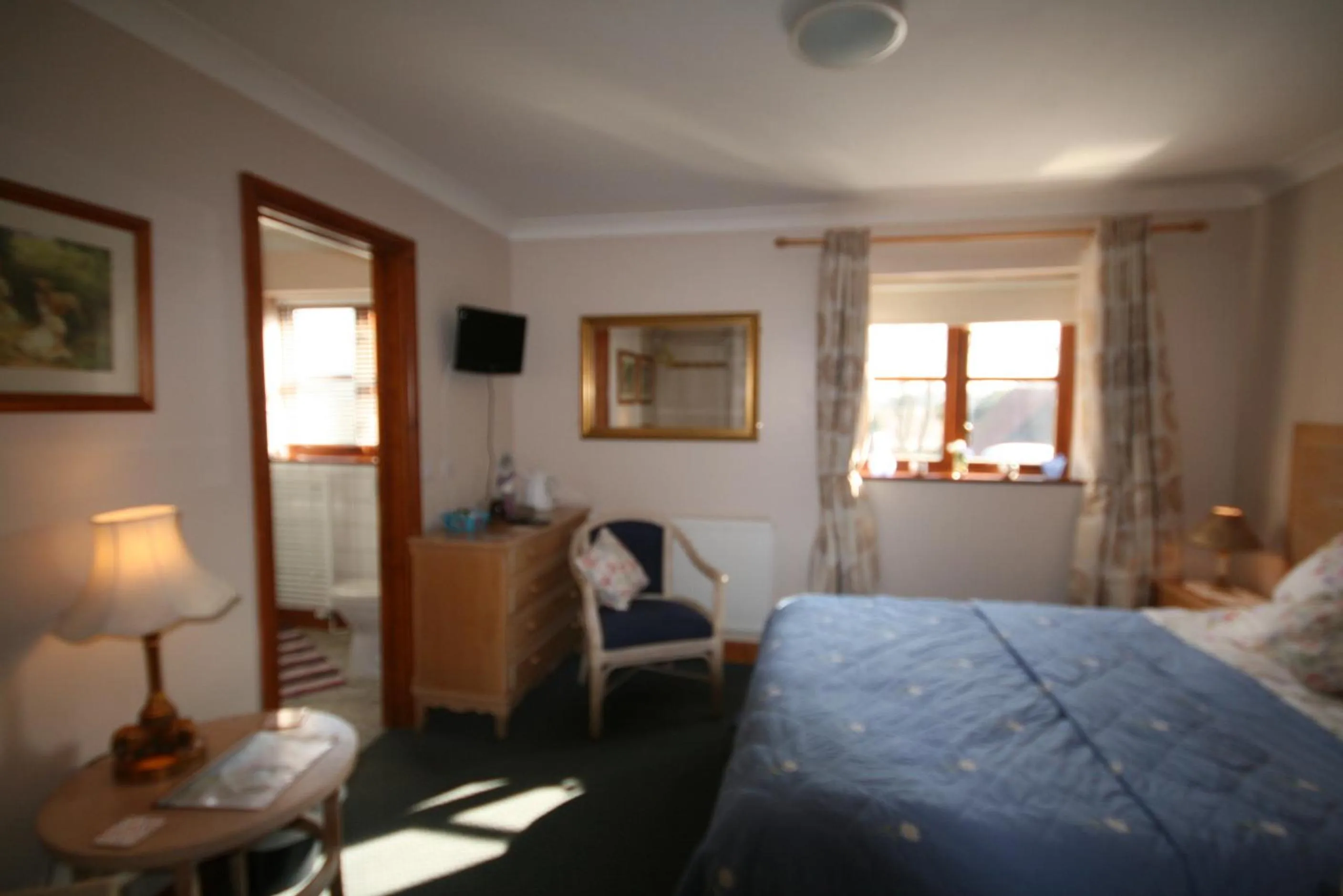 Day in Great Danes Licenced Guesthouse