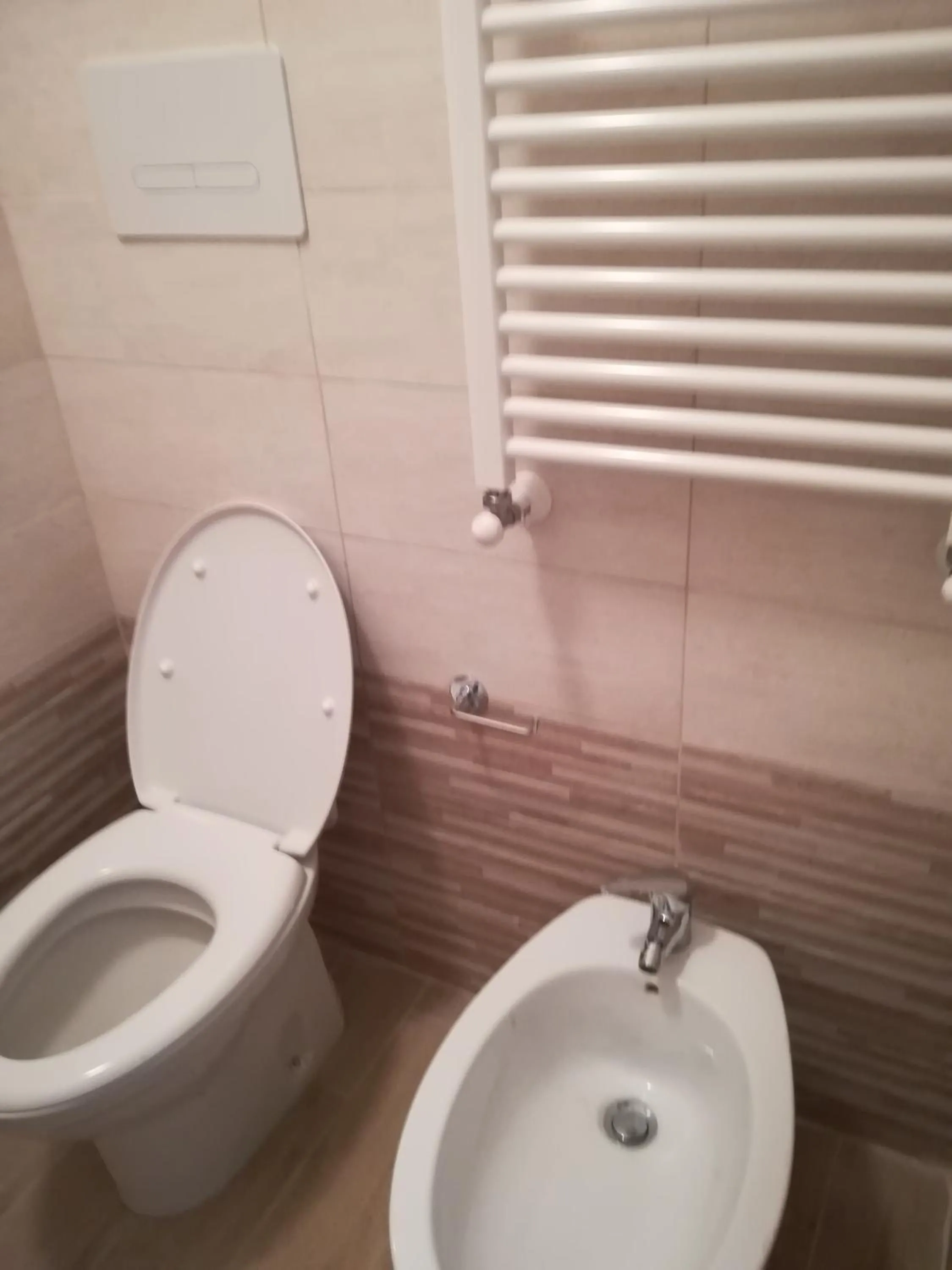 B&B Belvedere