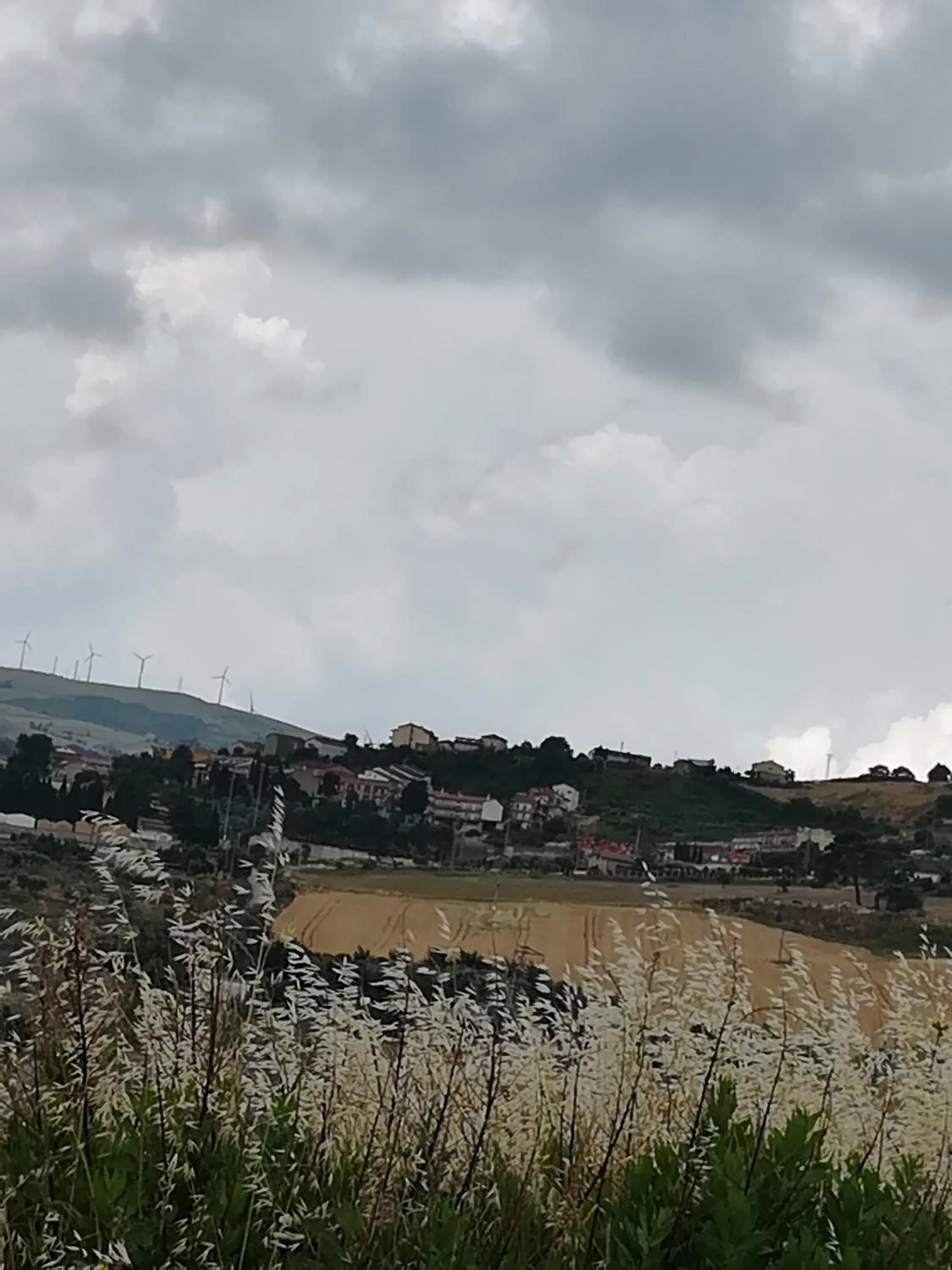 B&B Belvedere