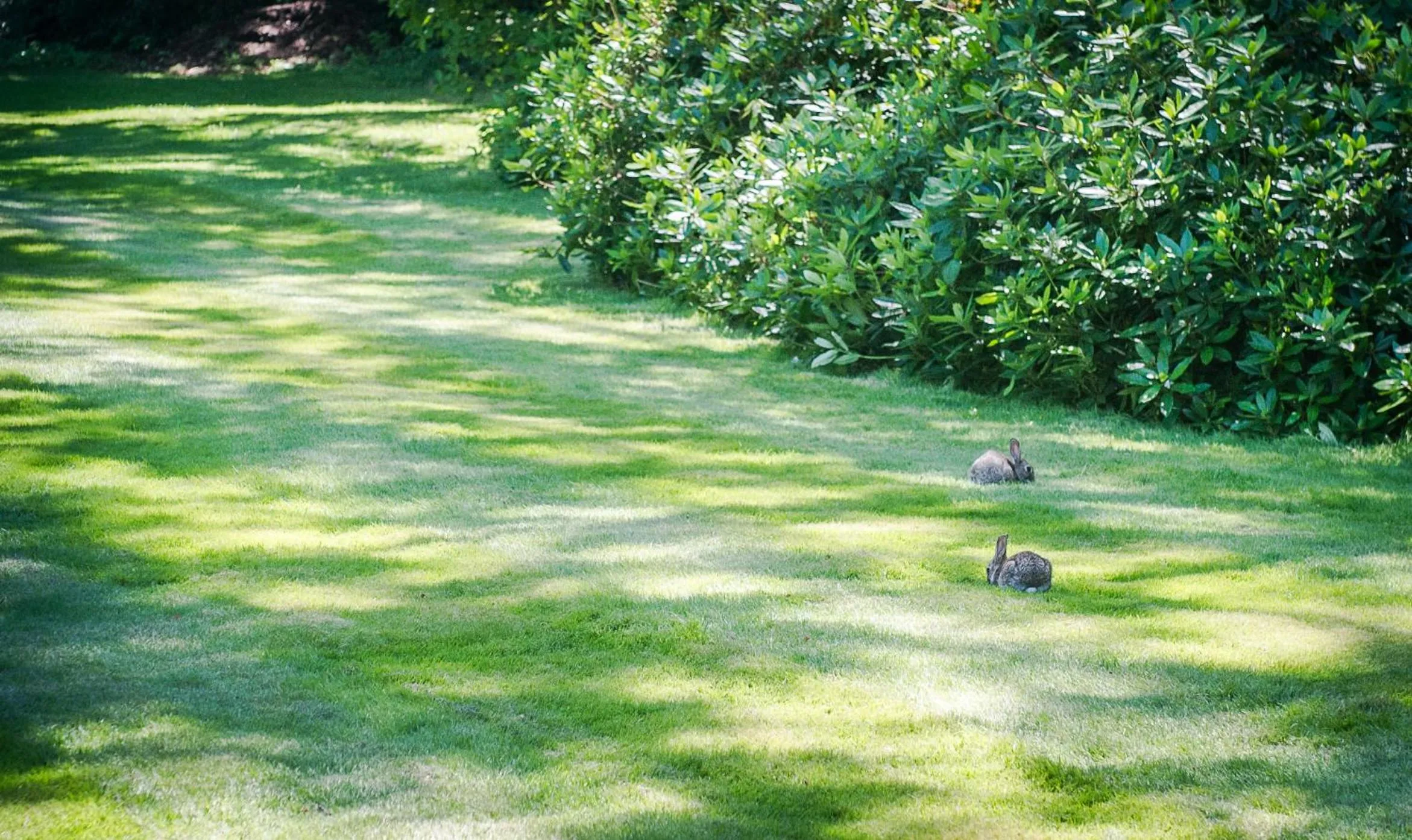 Garden in Claverton Hotel