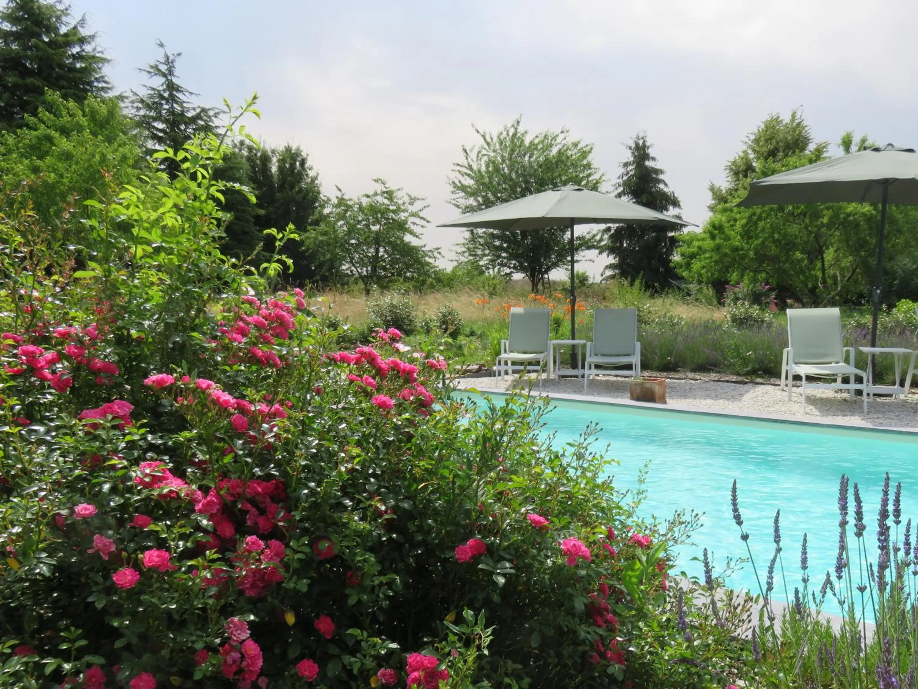 Swimming pool in Chambres d'Hôtes L’Échappée Belle